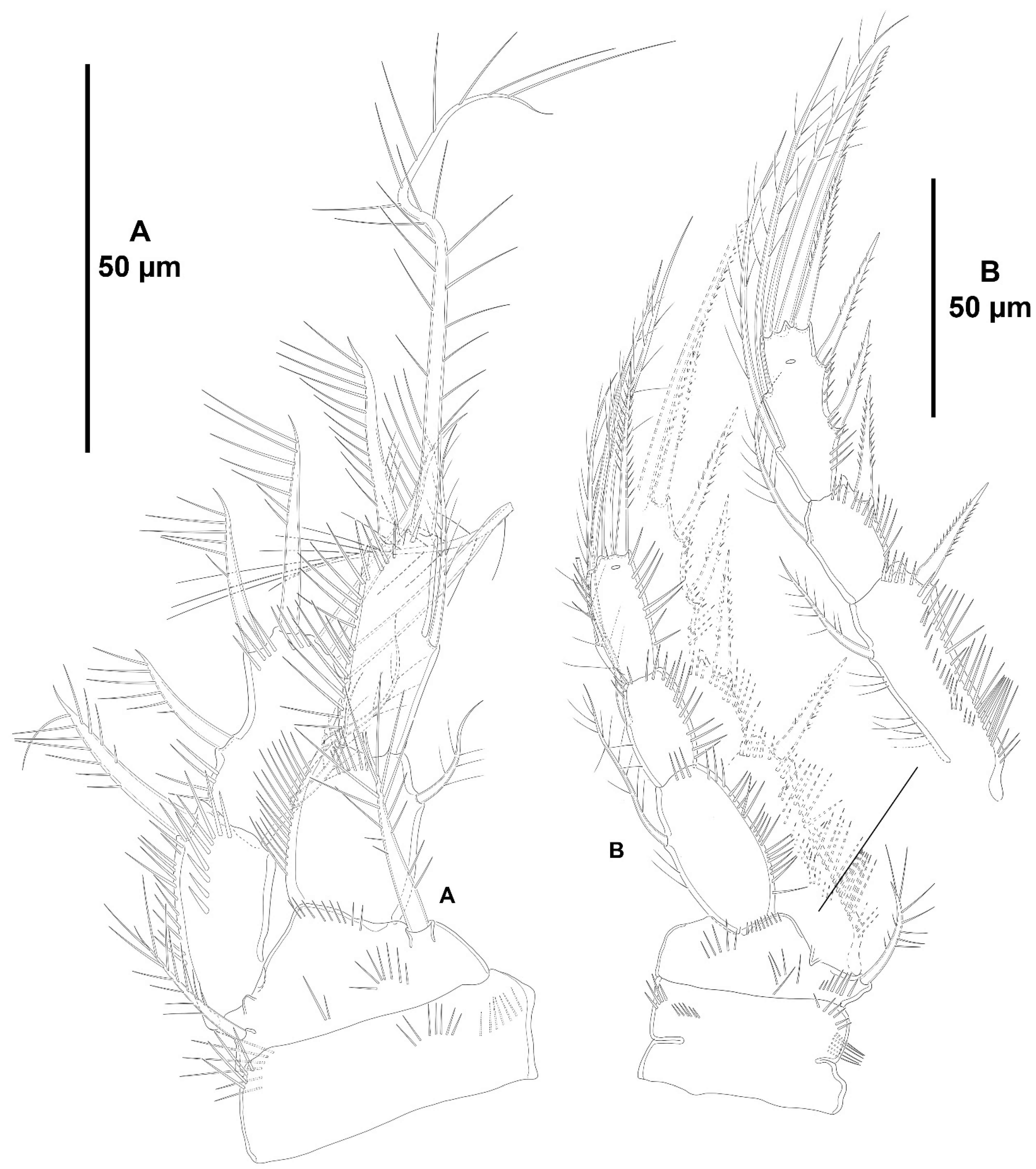 Diversity 15 00363 g024