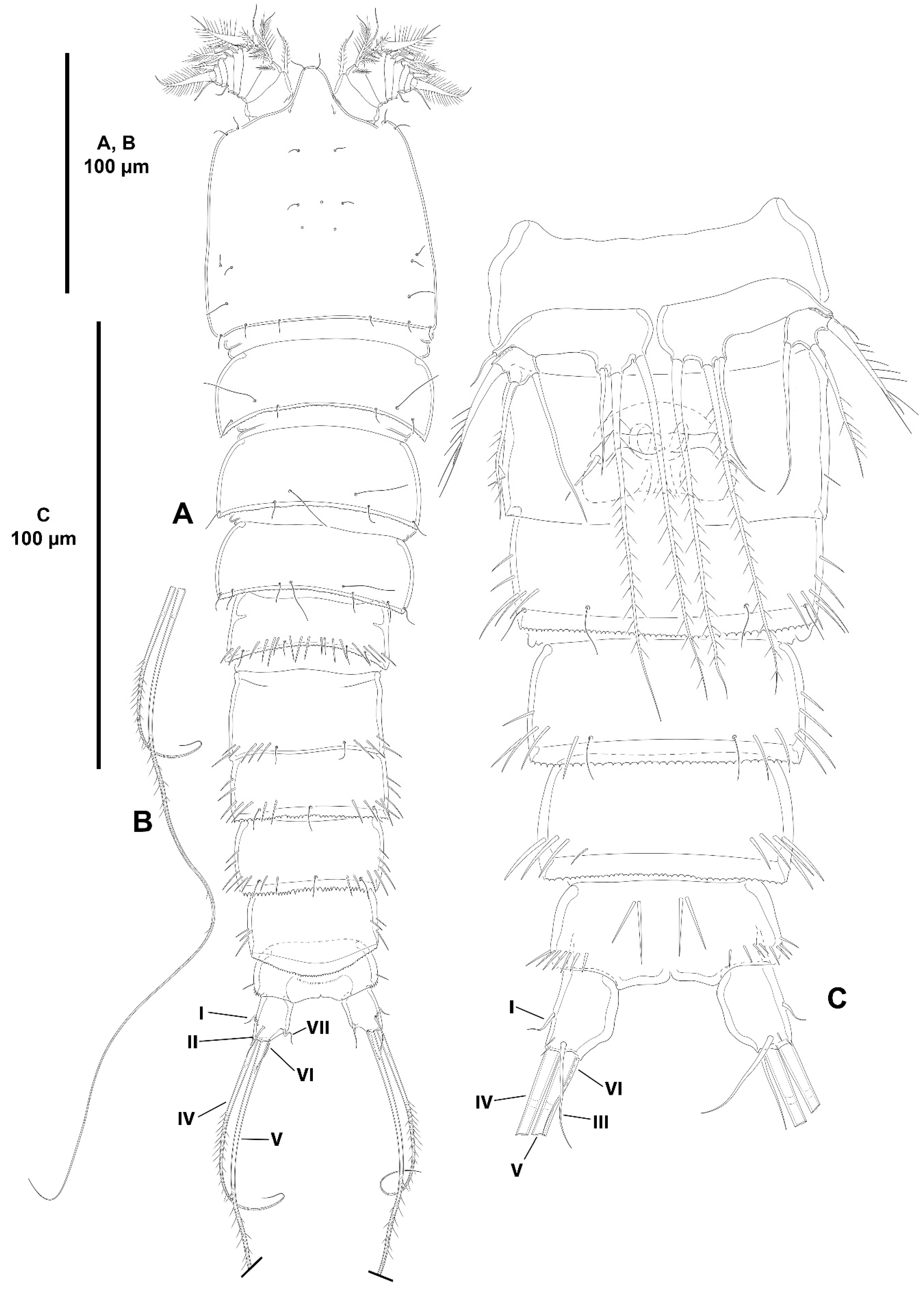 Diversity 15 00363 g026