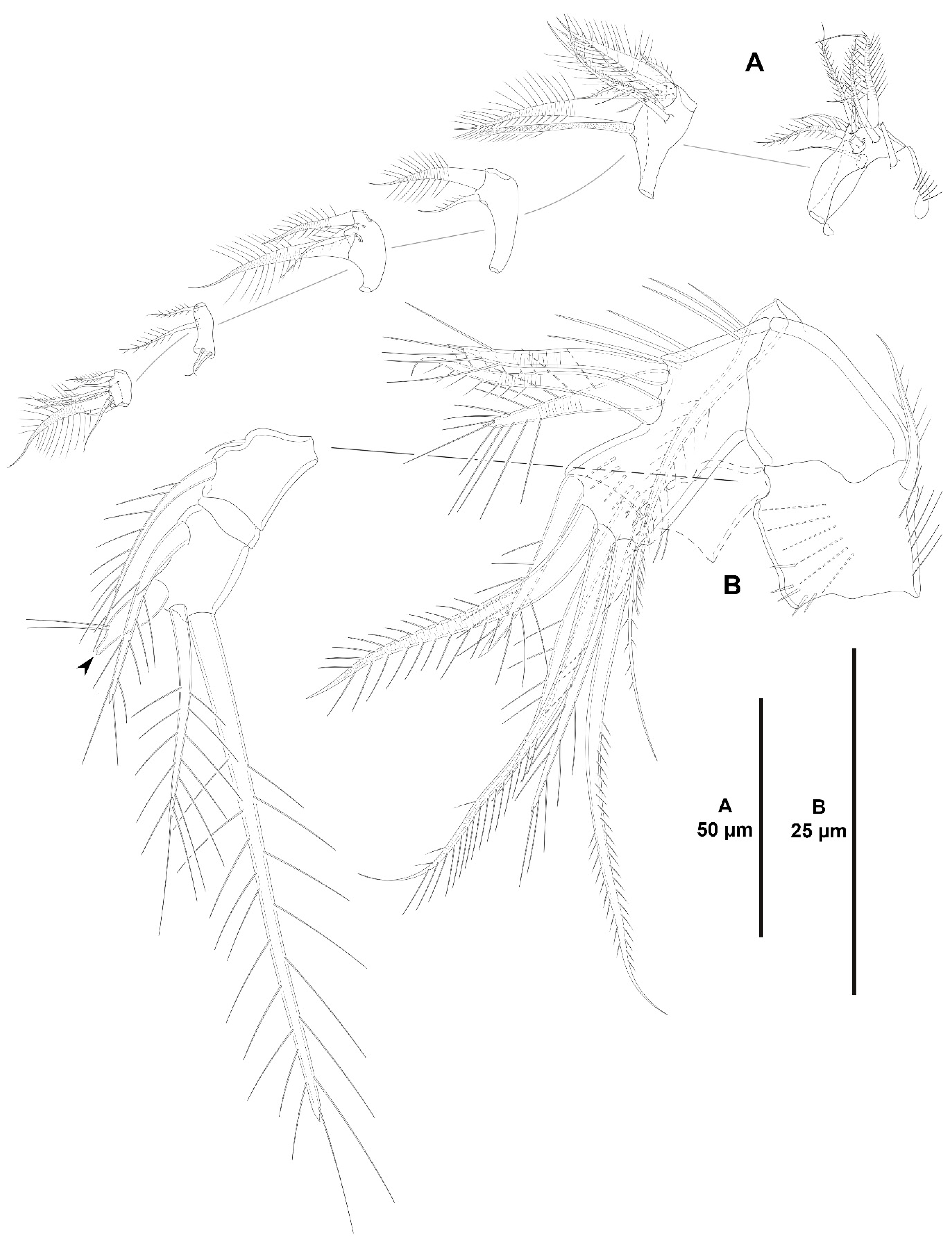 Diversity 15 00363 g027