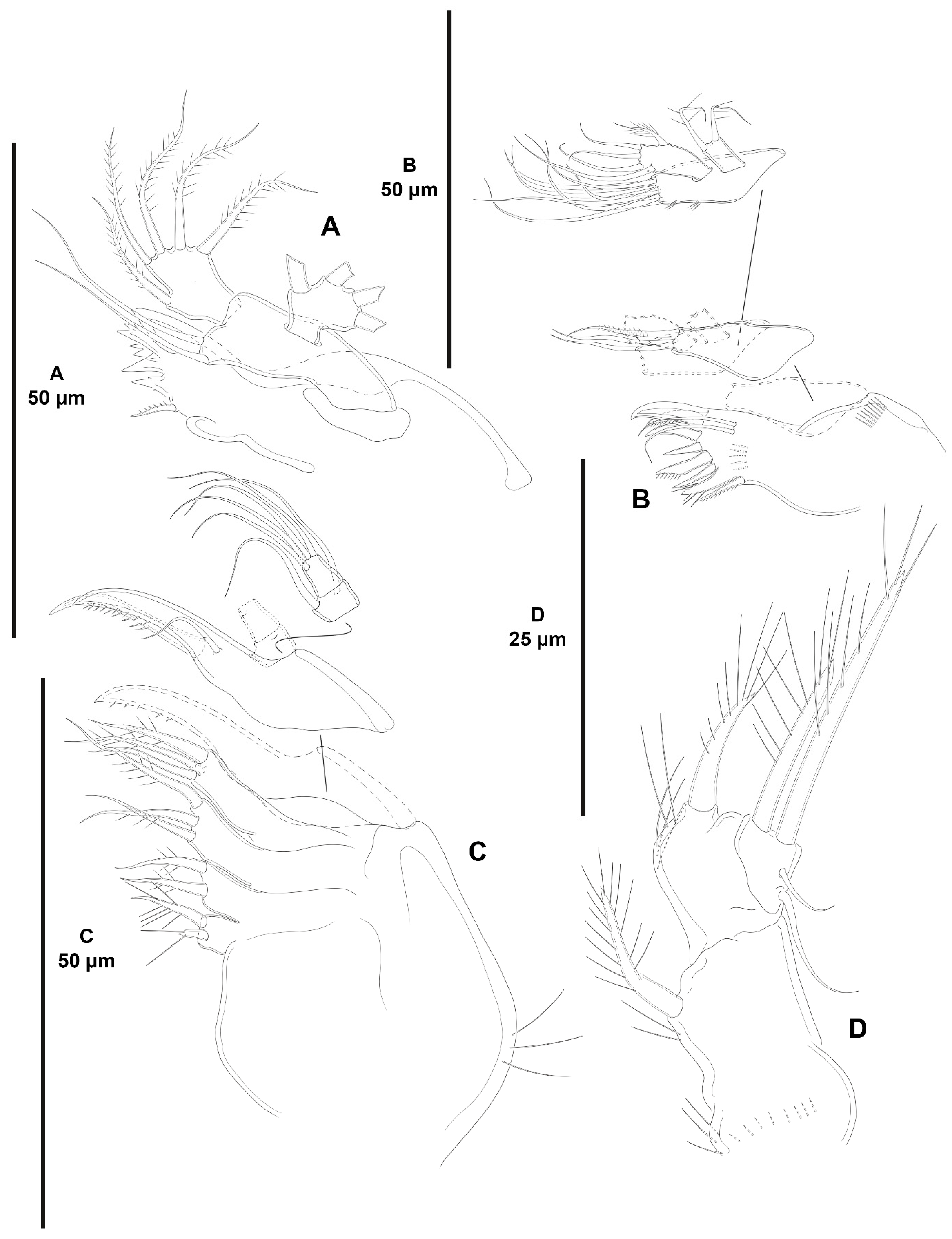 Diversity 15 00363 g028