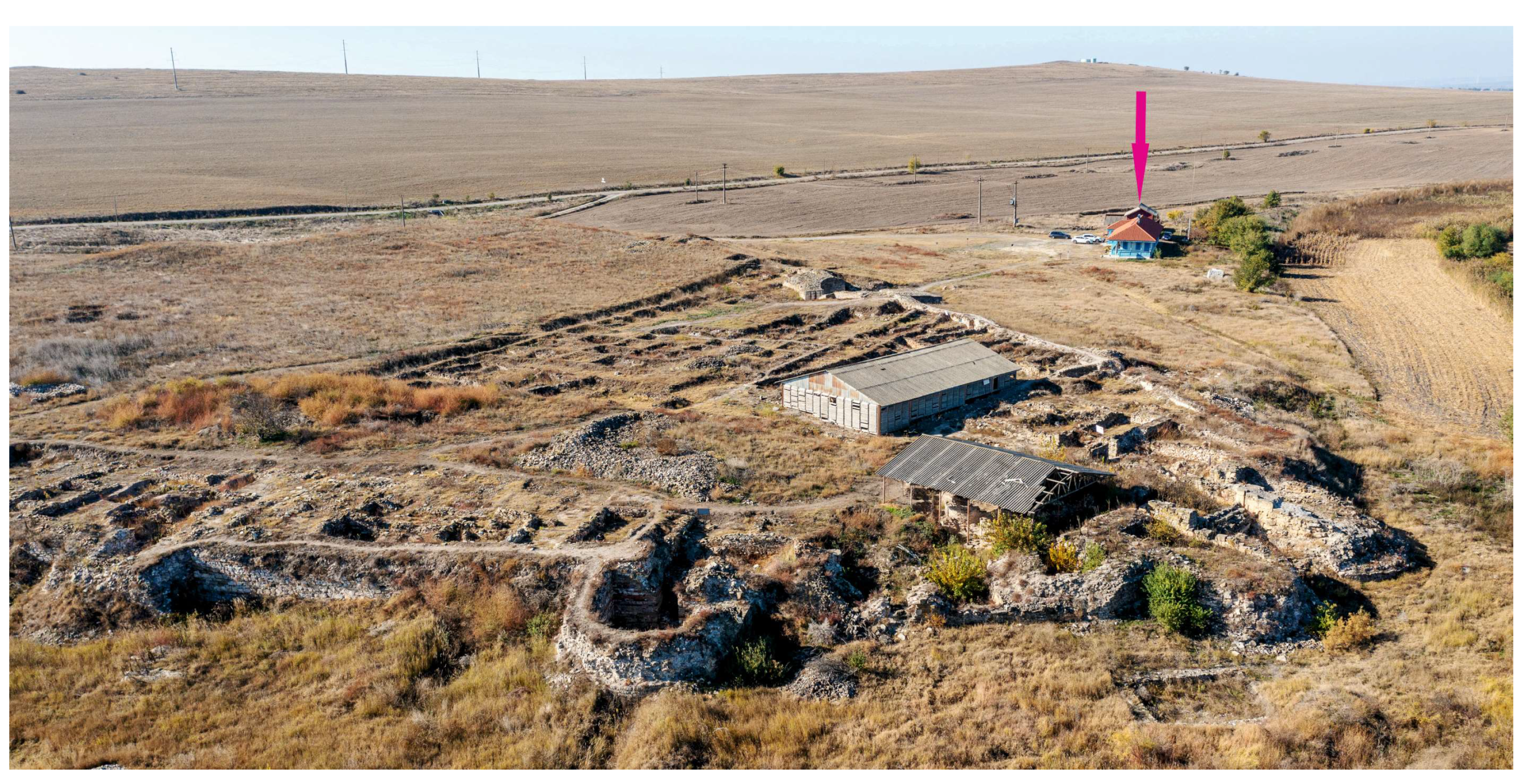 Diversity 15 00373 g003