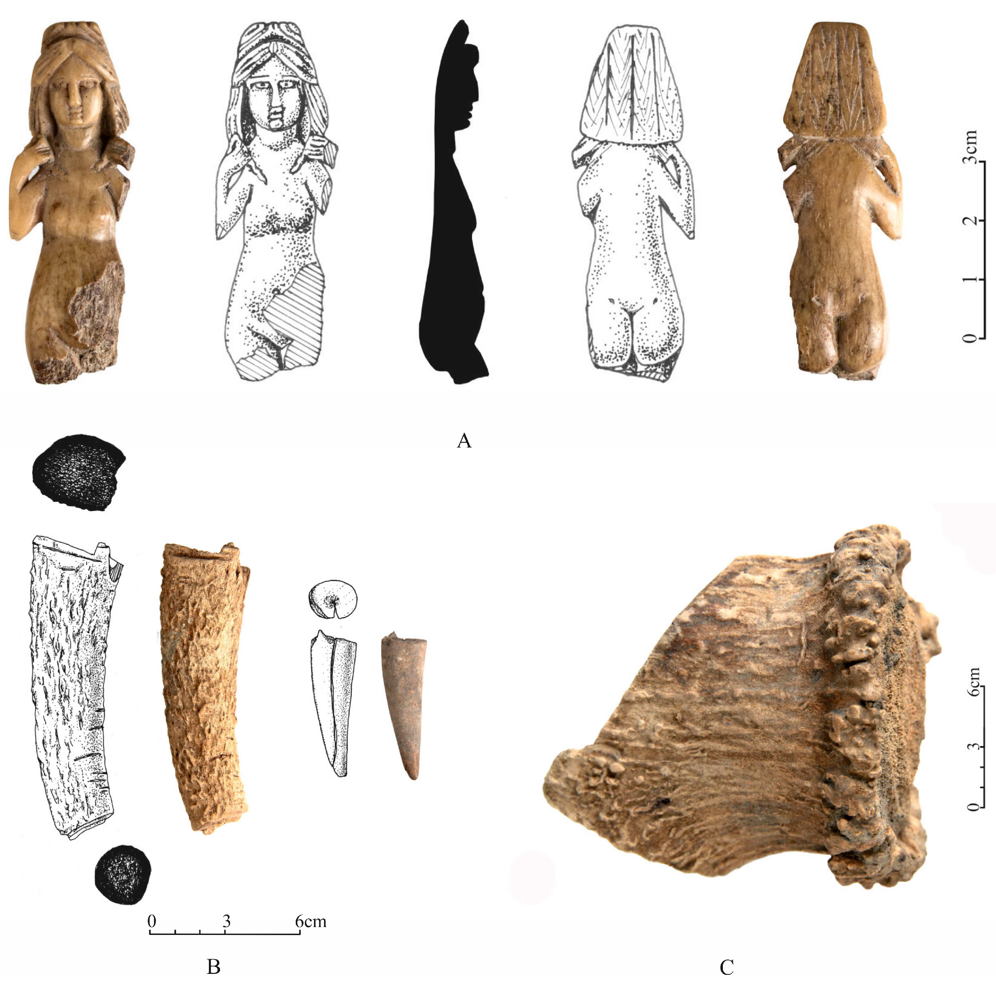 Diversity 15 00373 g006