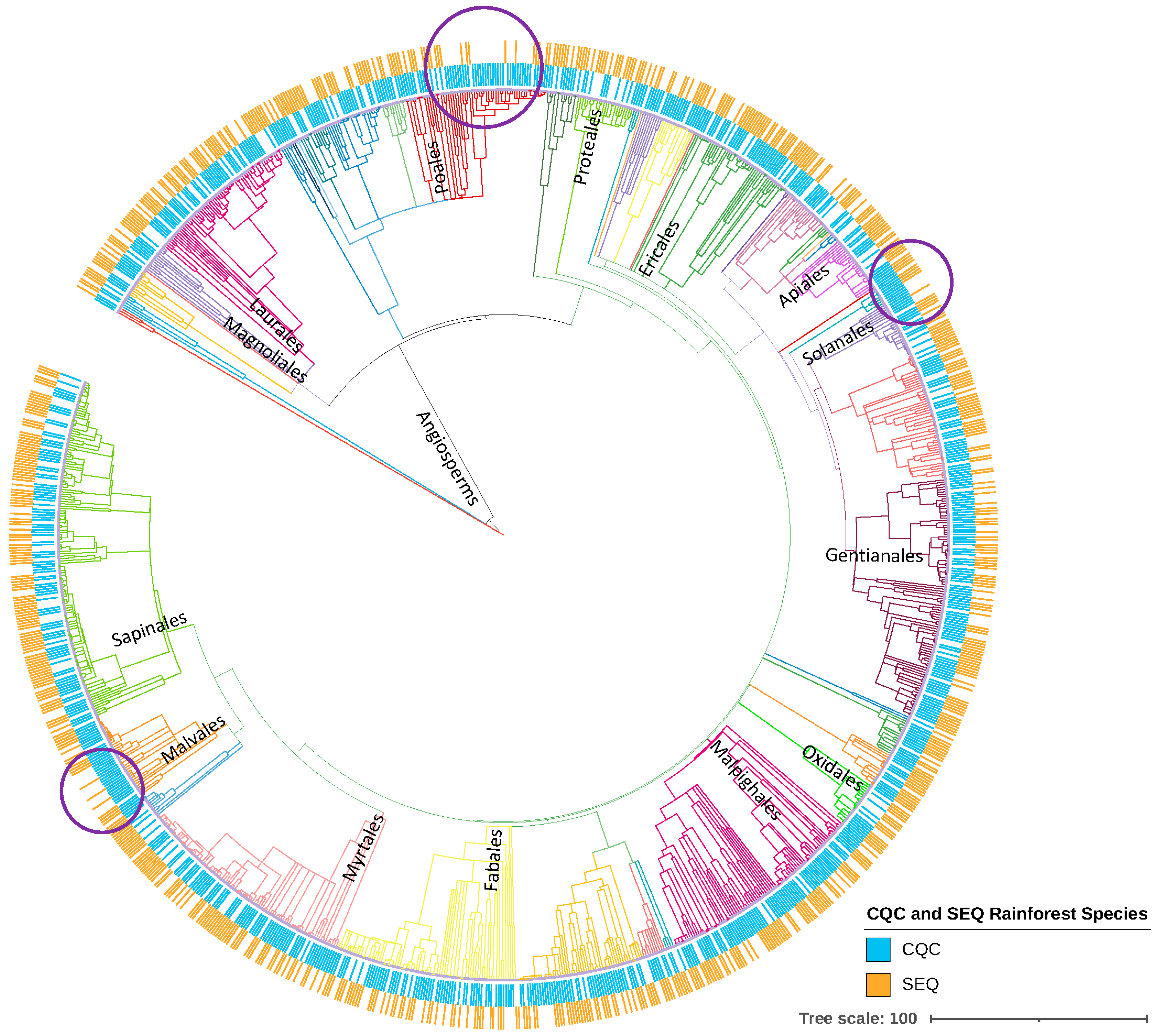 Diversity 15 00378 g002