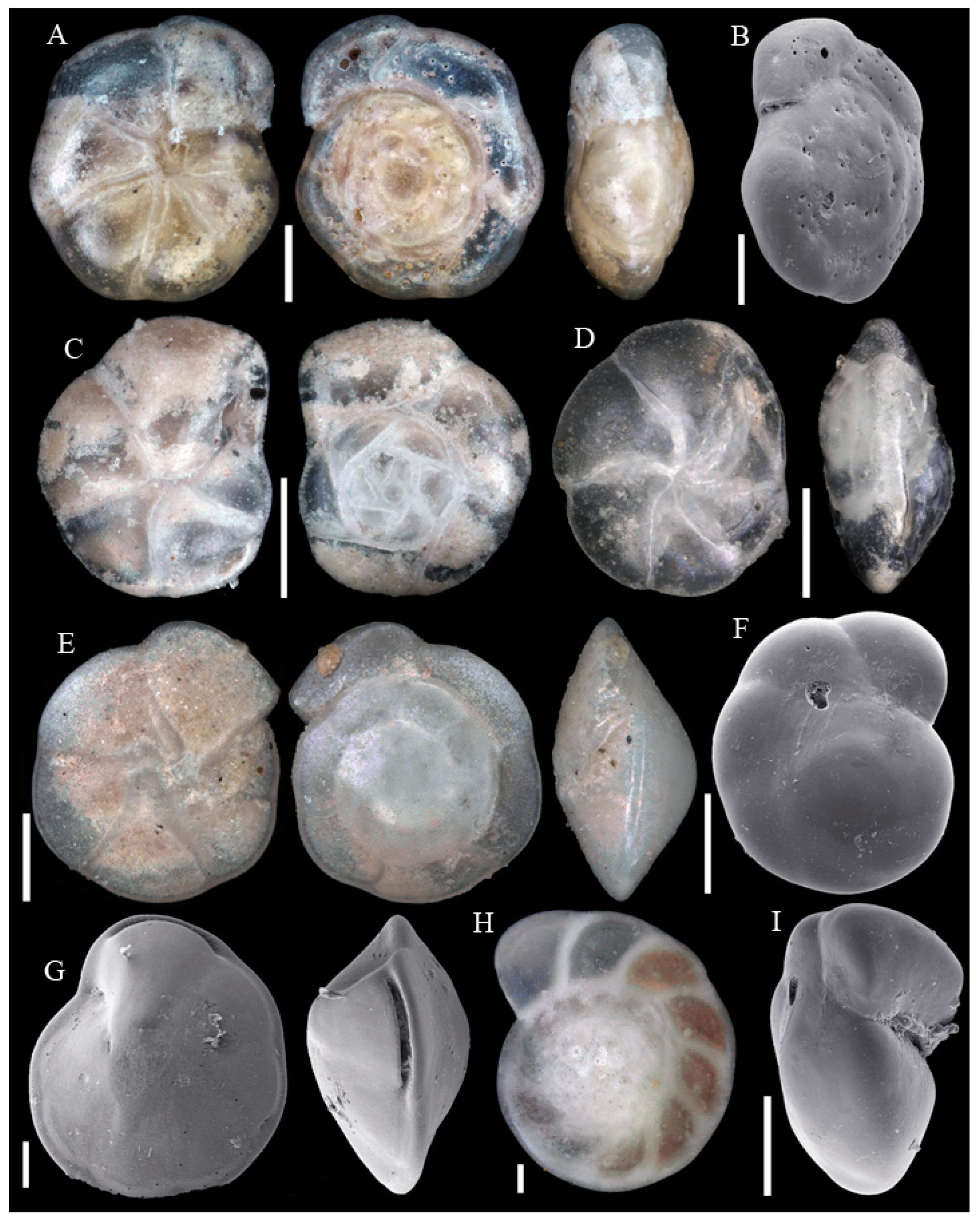 Diversity 15 00381 g0a11 Diversity 15 00381 g0a11