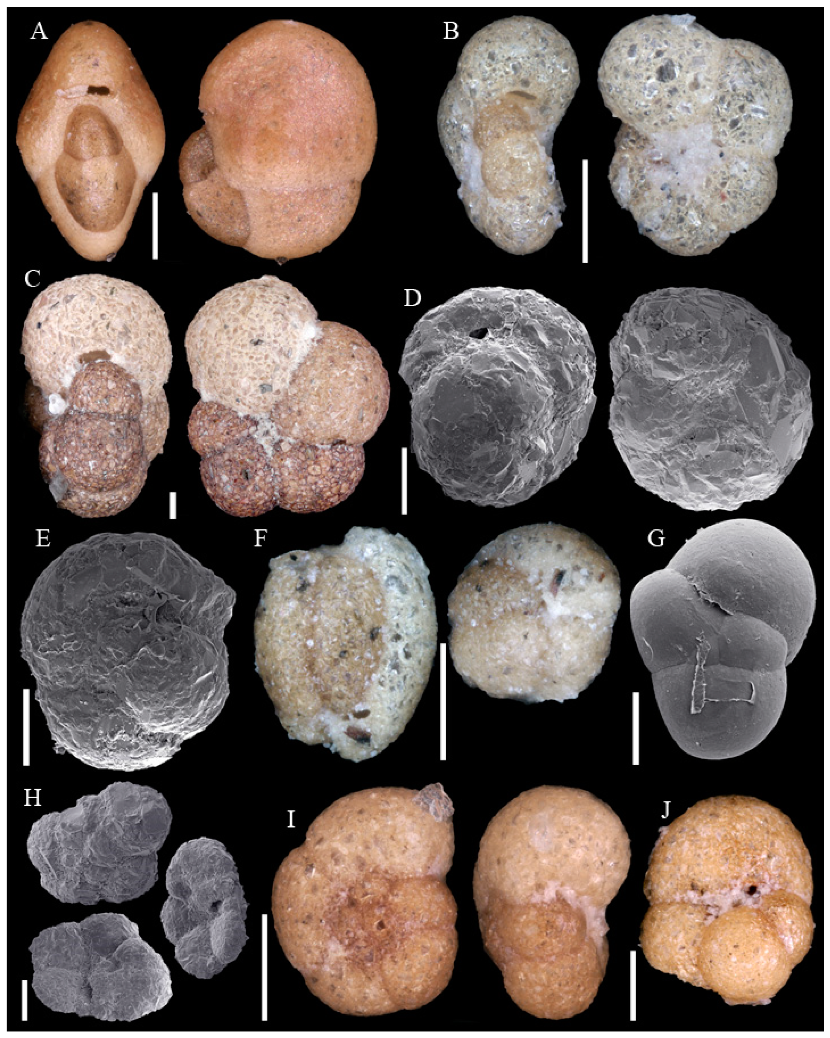 Diversity 15 00381 g0a3 Diversity 15 00381 g0a3