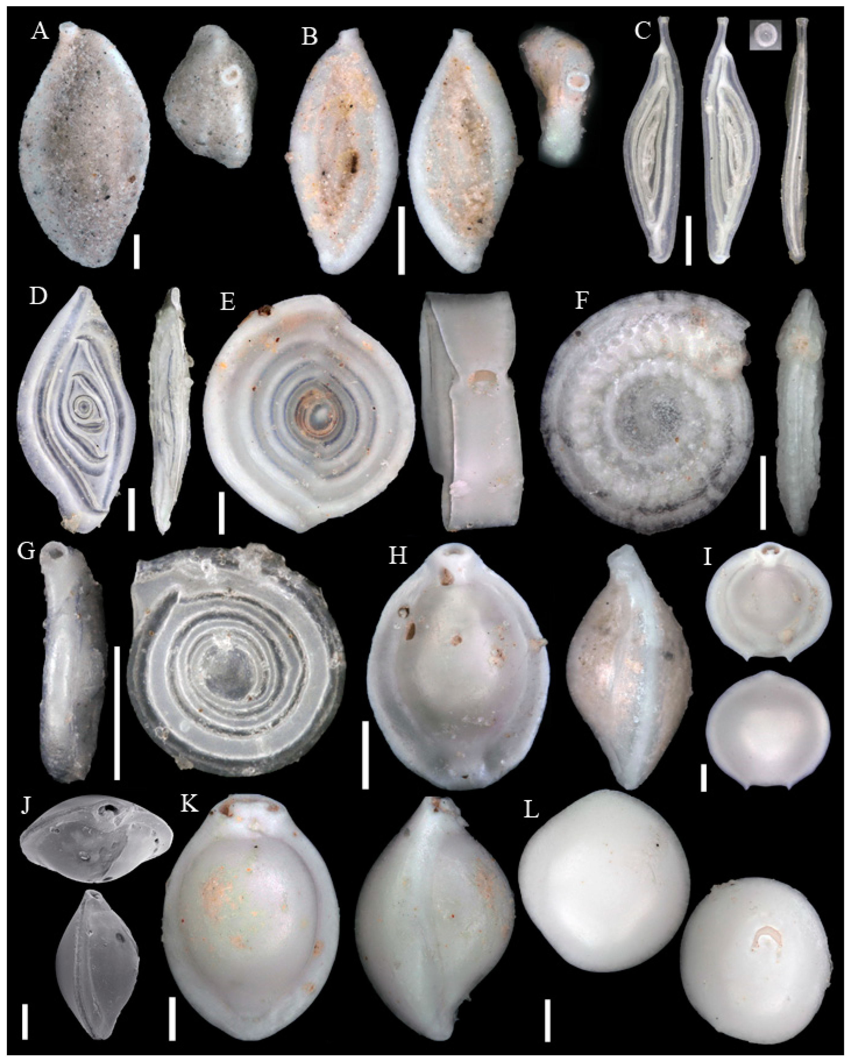 Diversity 15 00381 g0a4 Diversity 15 00381 g0a4