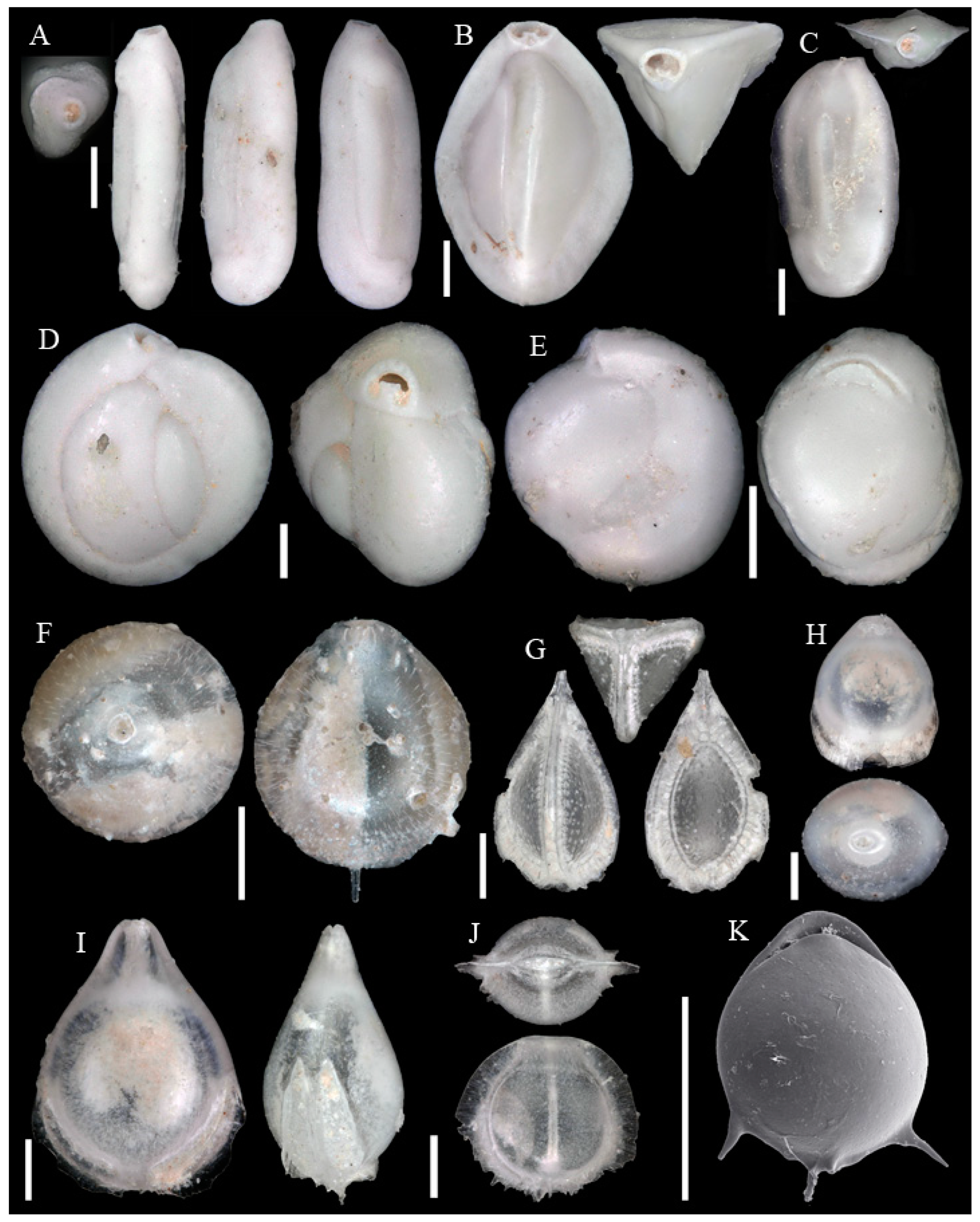 Diversity 15 00381 g0a5 Diversity 15 00381 g0a5