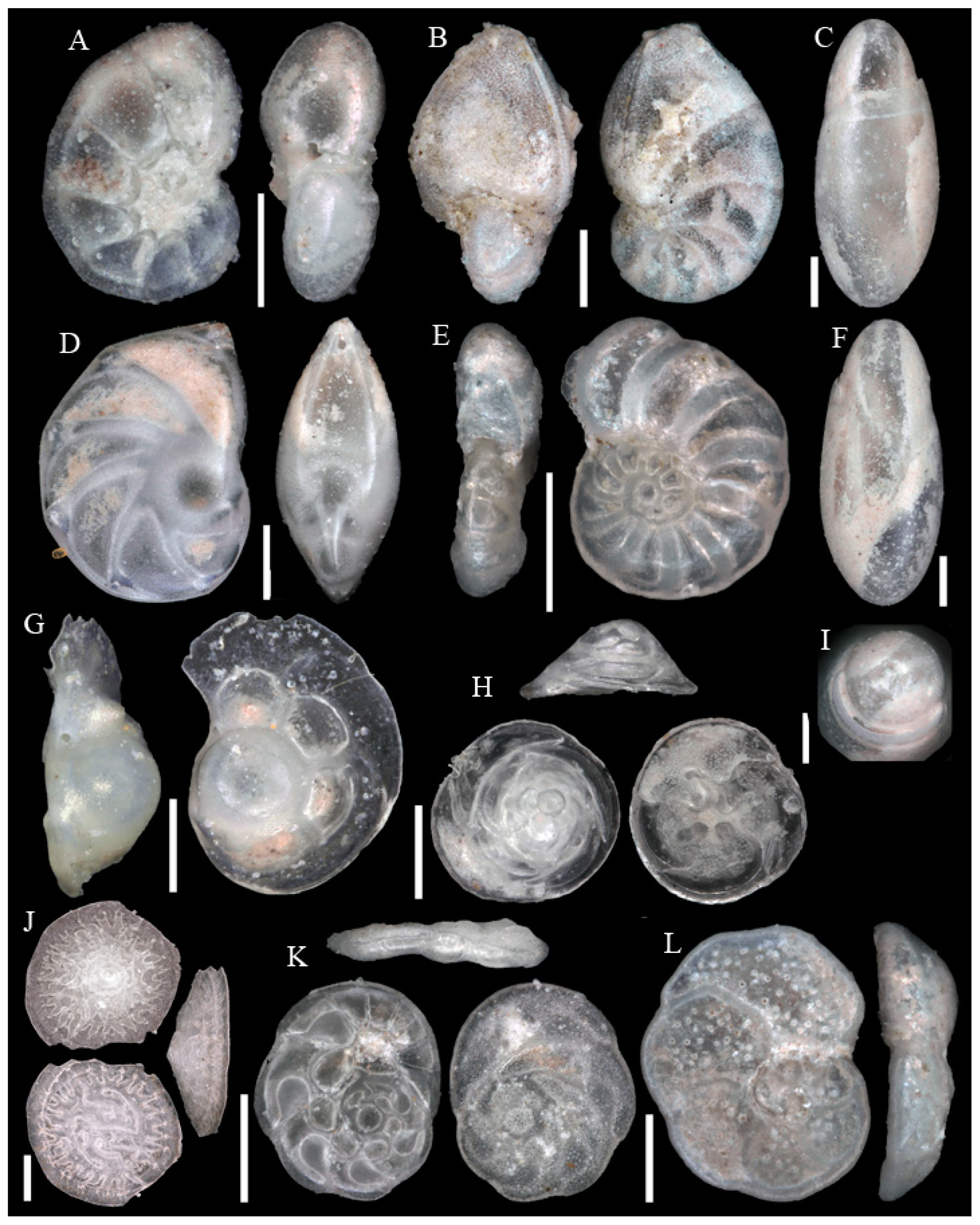 Diversity 15 00381 g0a9 Diversity 15 00381 g0a9