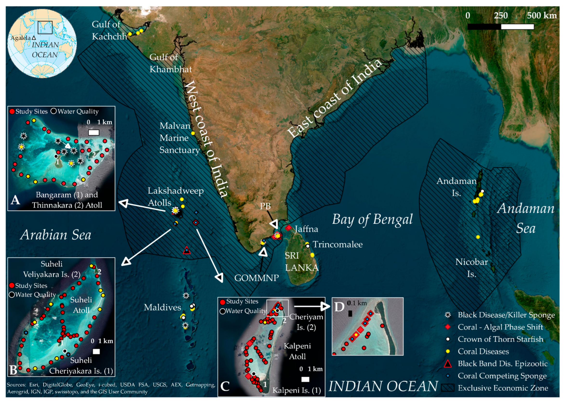Diversity 15 00382 g001 Diversity 15 00382 g001