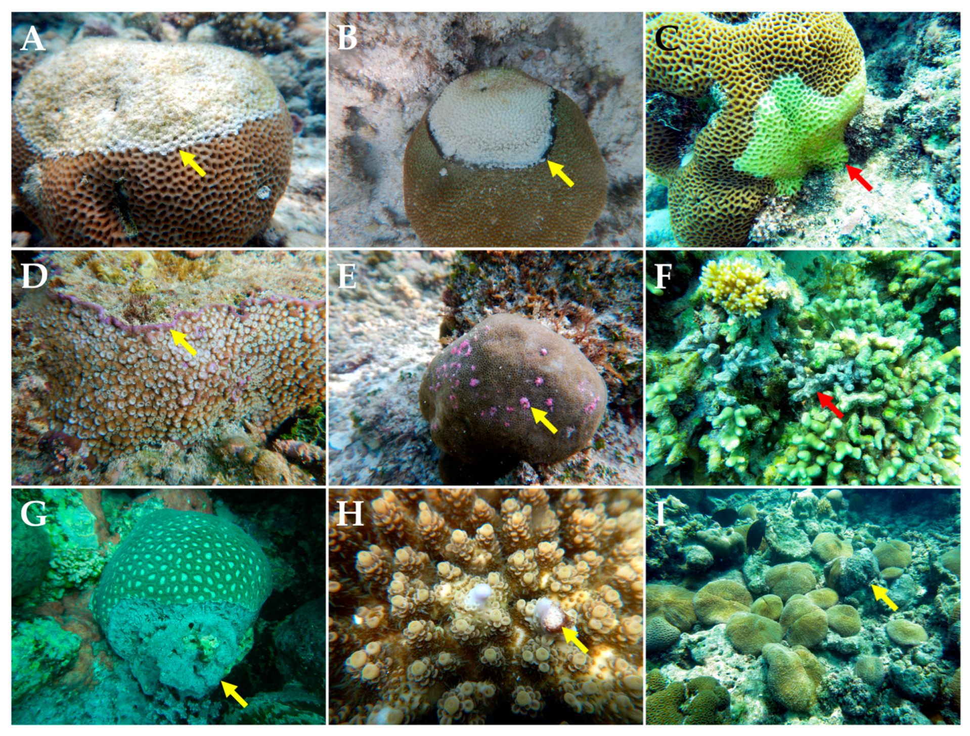 Diversity 15 00382 g002 Diversity 15 00382 g002