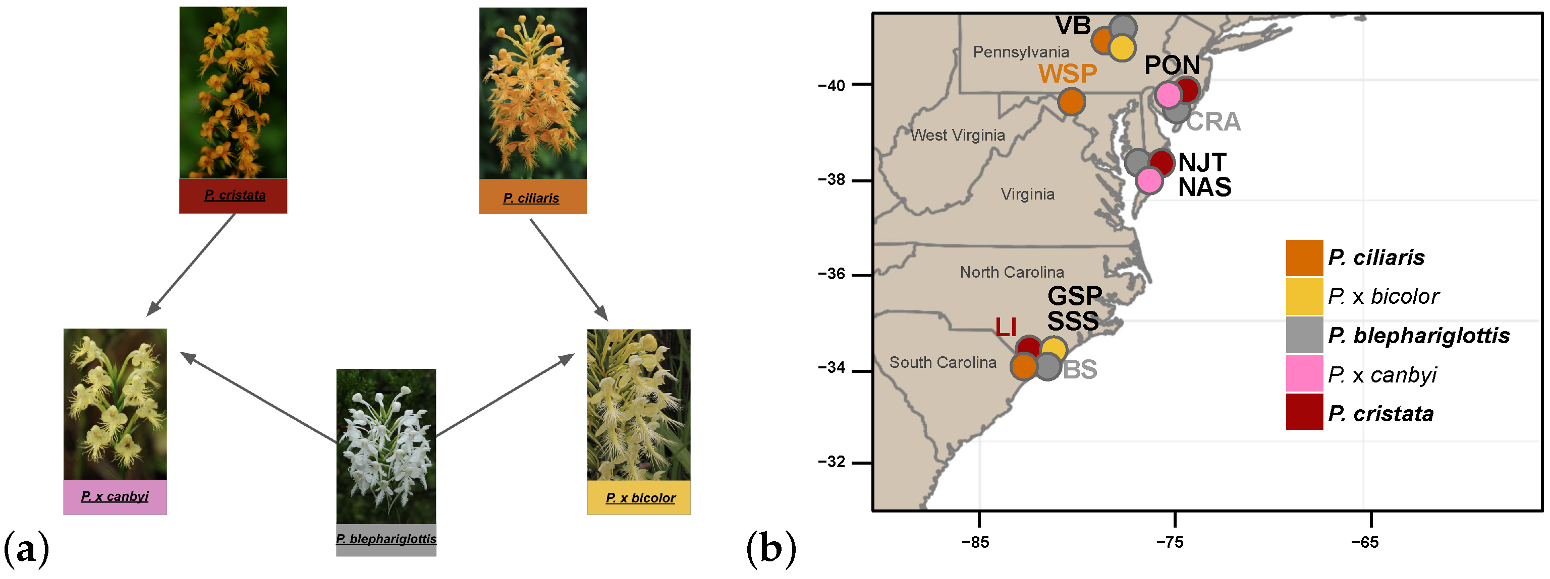 Diversity 15 00384 g001