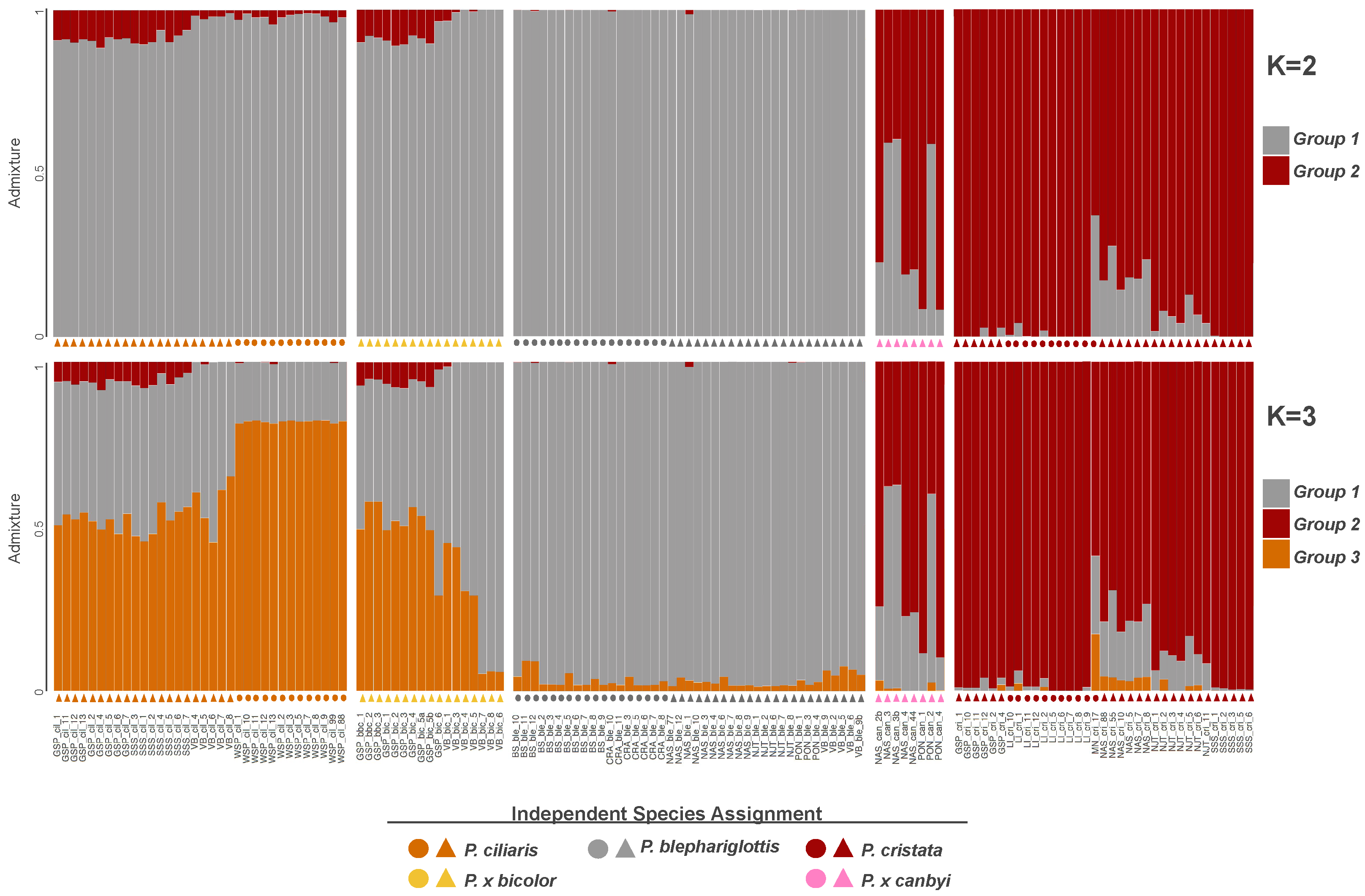 Diversity 15 00384 g003