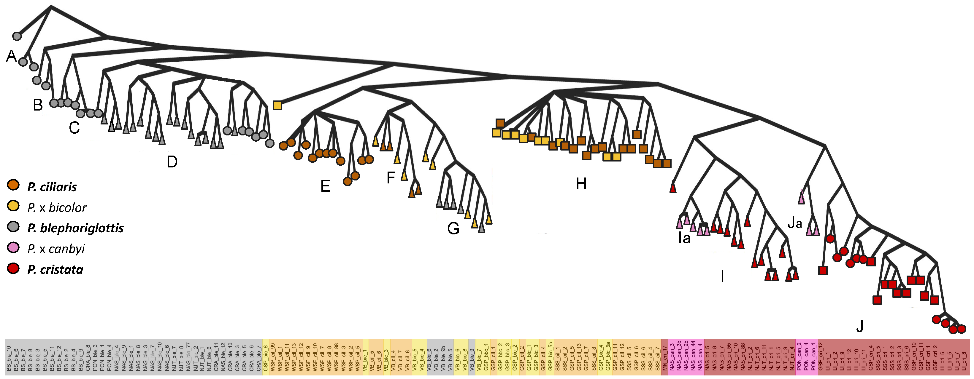 Diversity 15 00384 g004