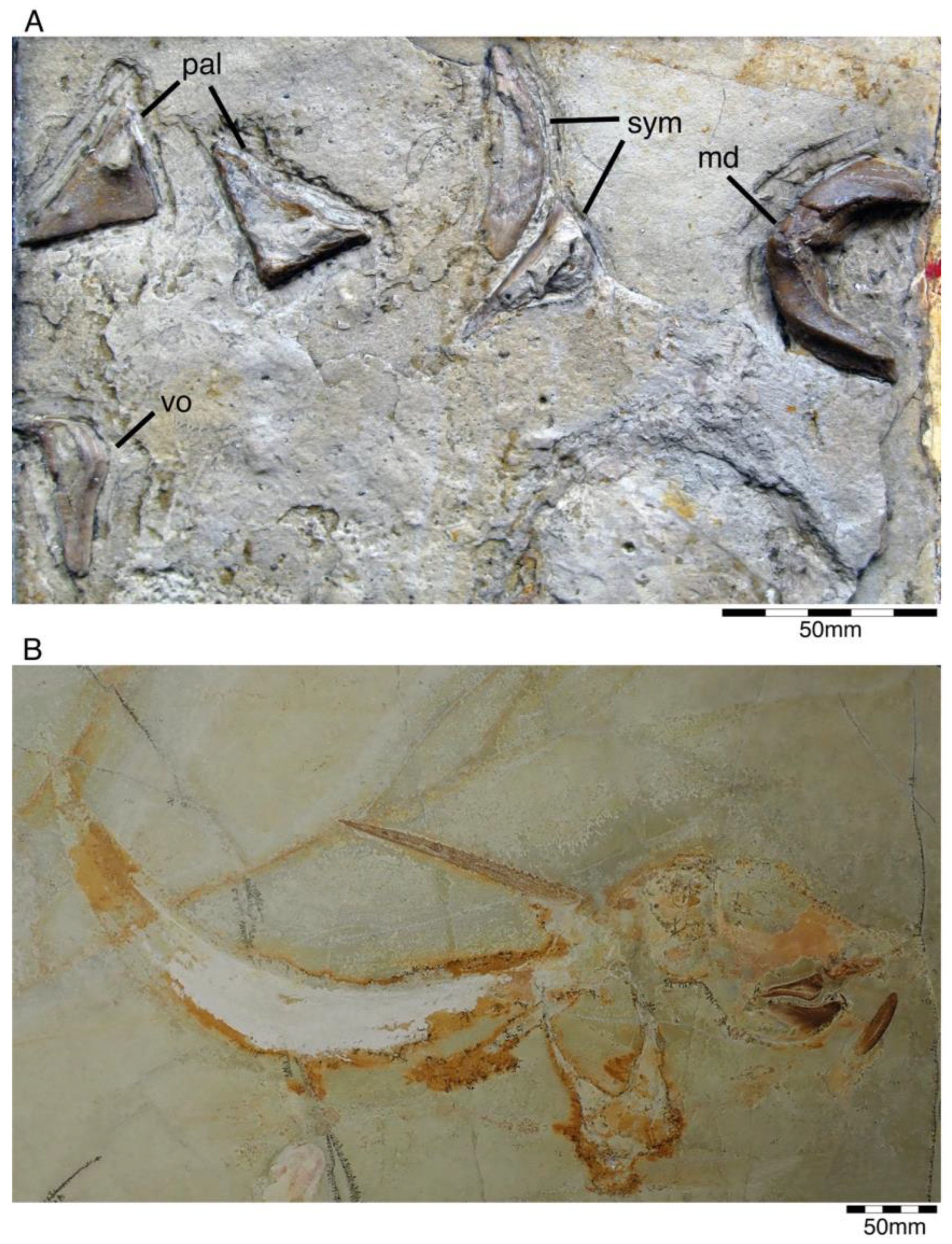 Diversity 15 00386 g003