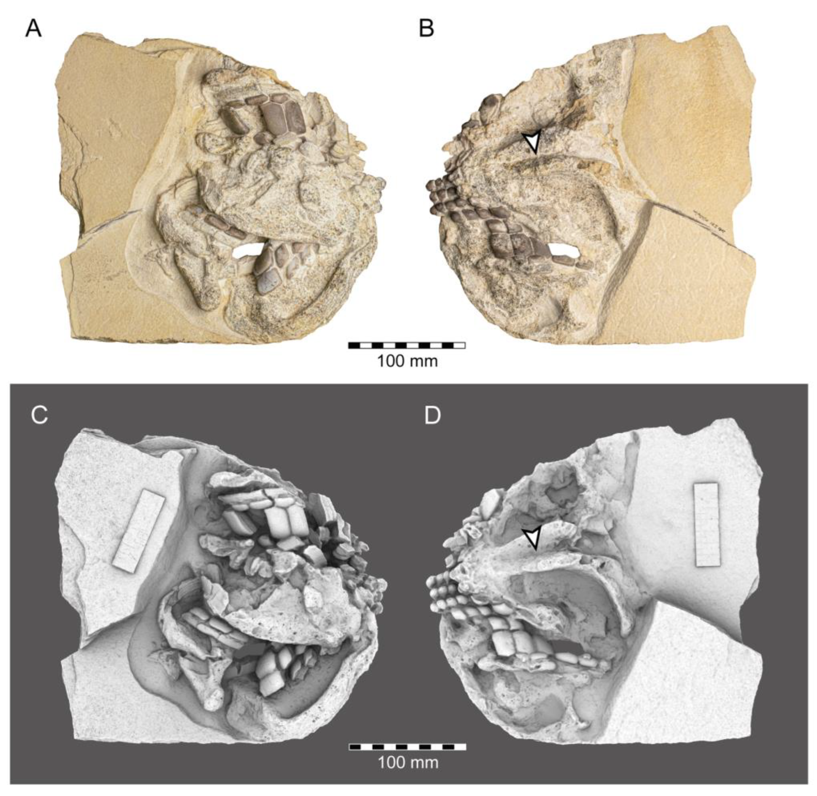 Diversity 15 00386 g012