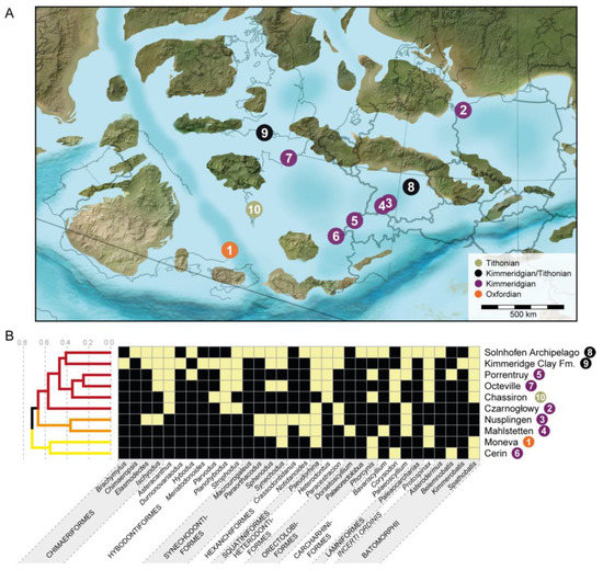 Diversity 15 00386 g035
