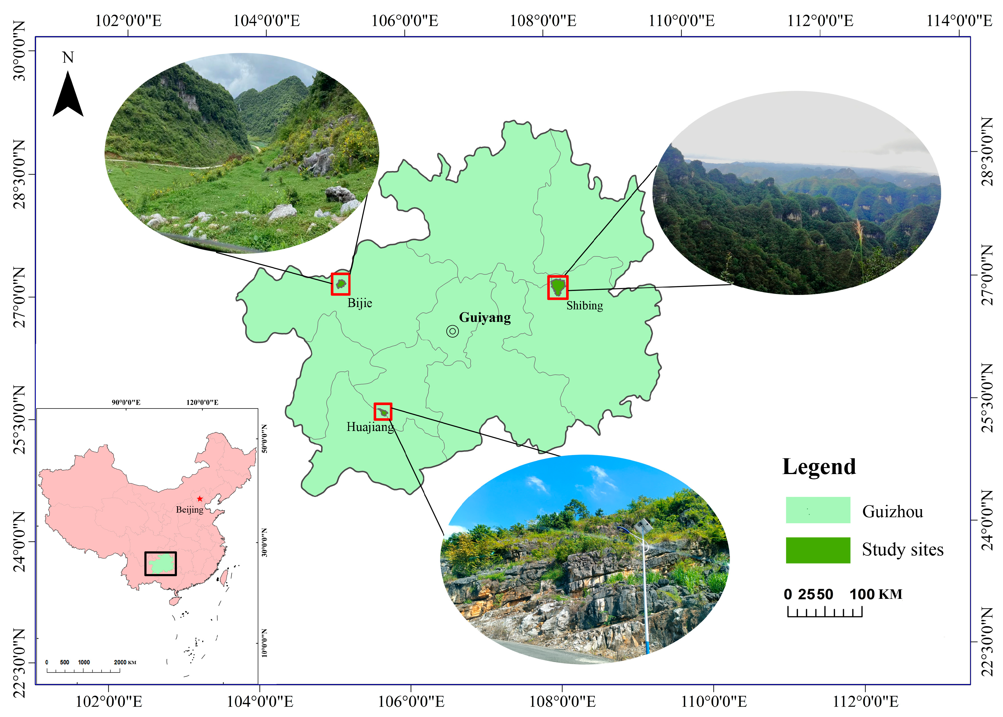 Diversity 15 00387 g001