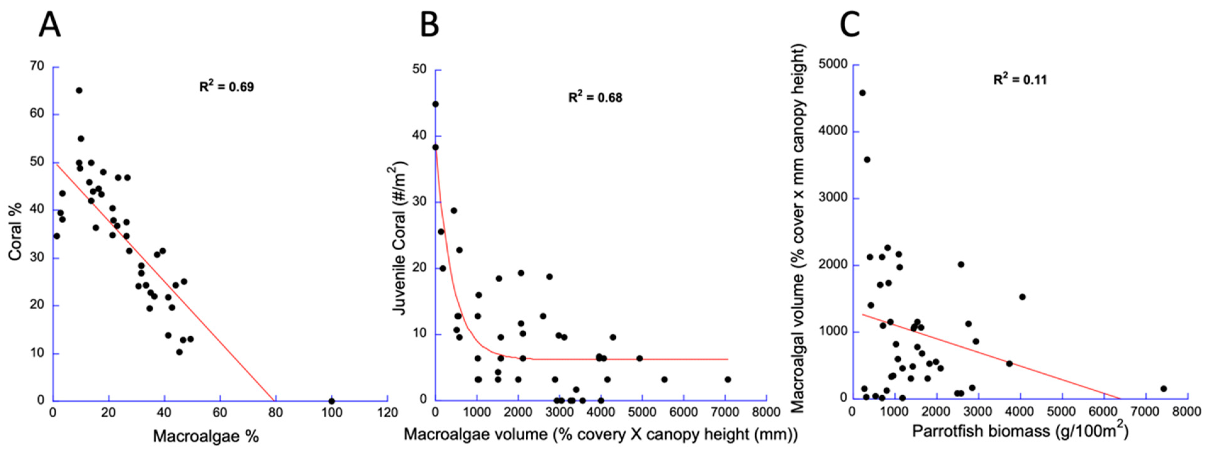 Diversity 15 00389 g003
