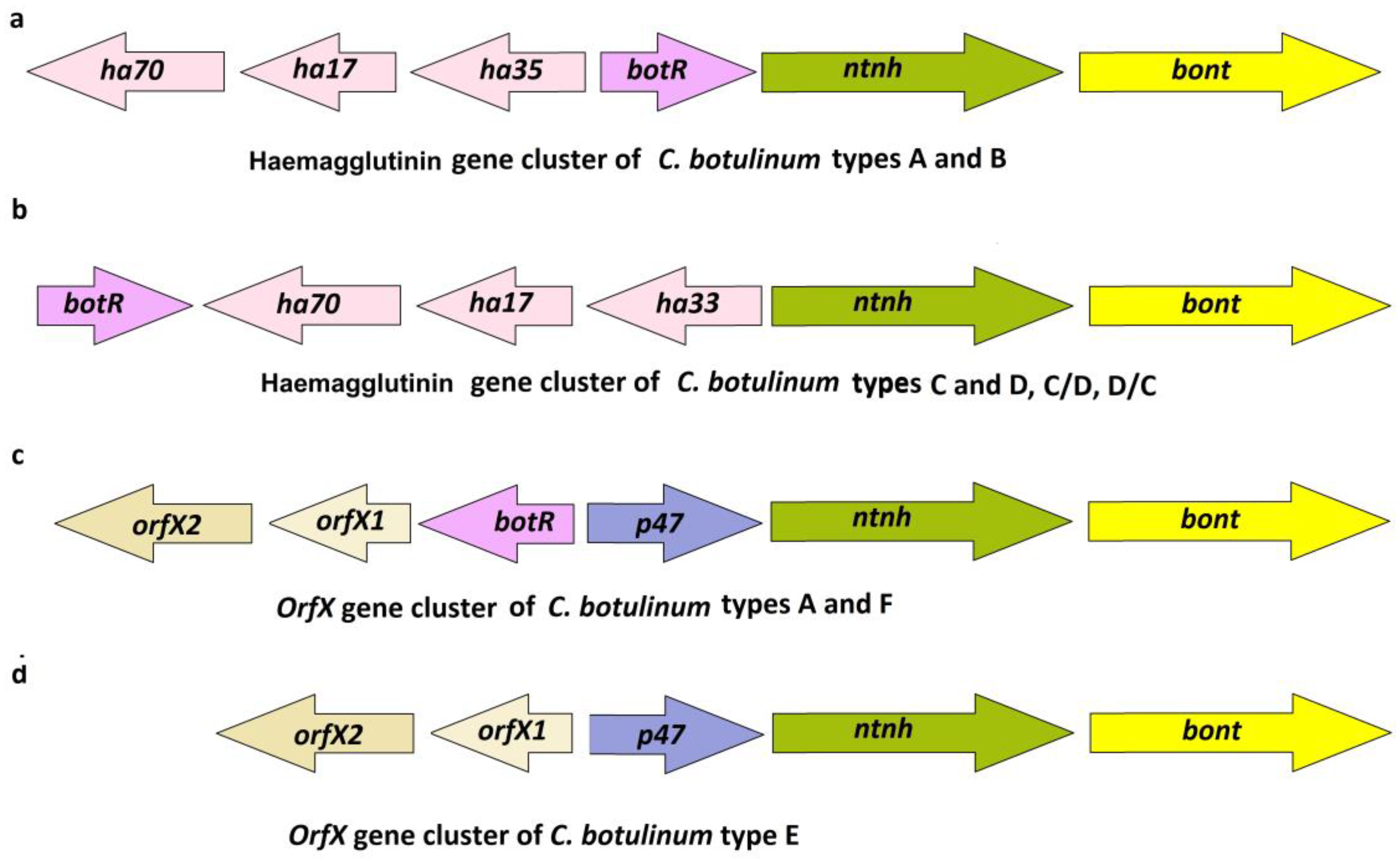 Diversity 15 00392 g001 Diversity 15 00392 g001