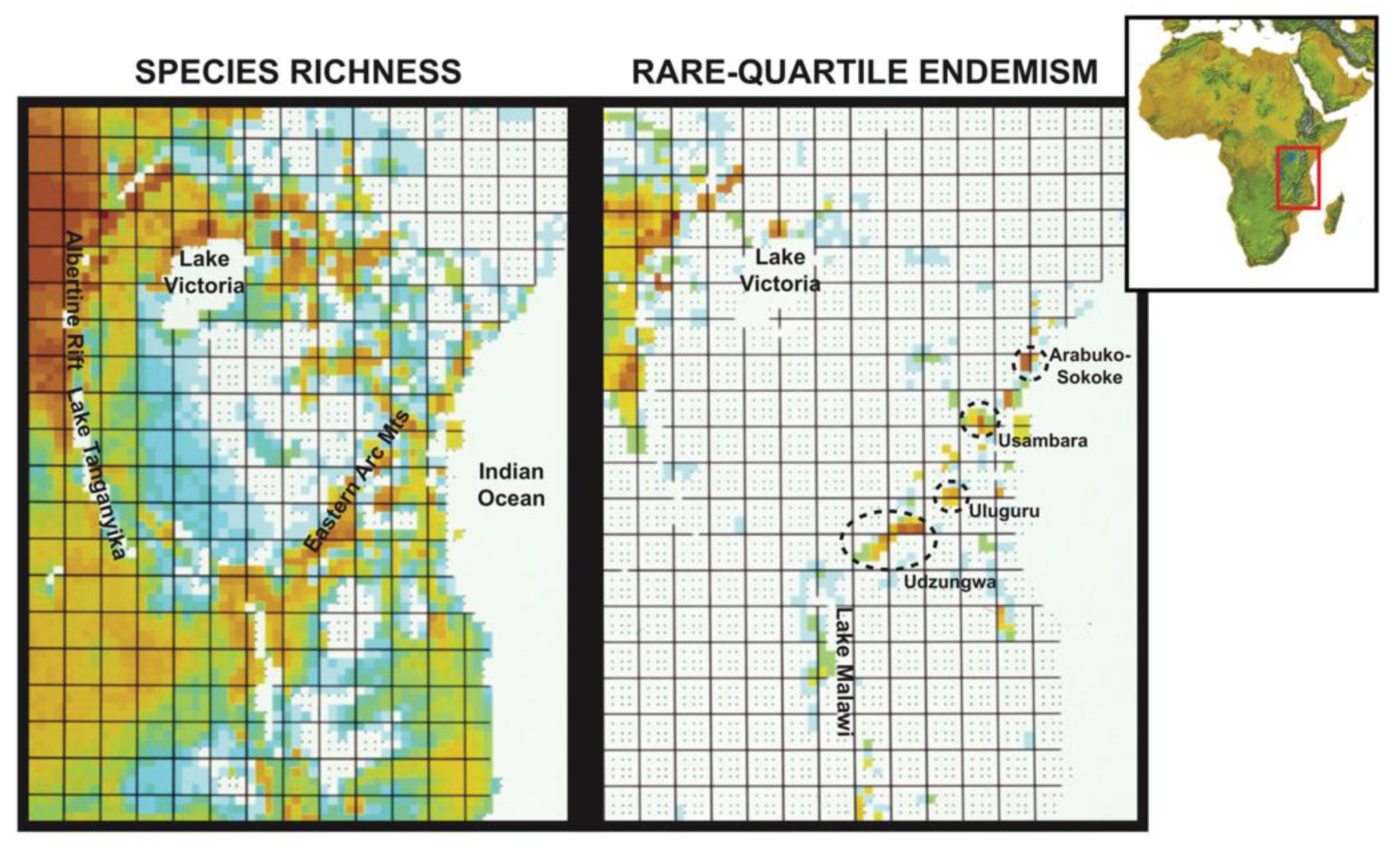 Diversity 15 00394 g004