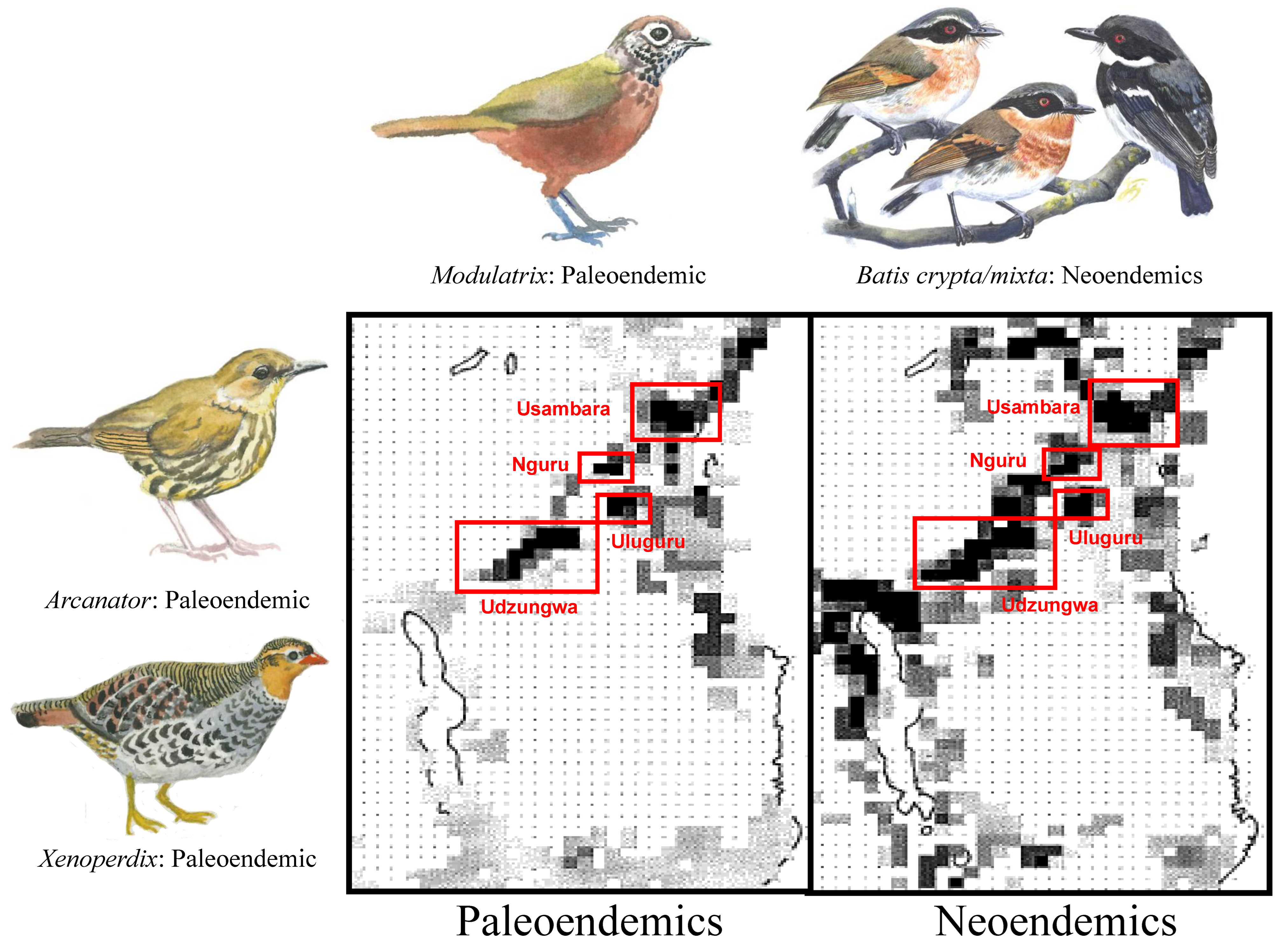 Diversity 15 00394 g008