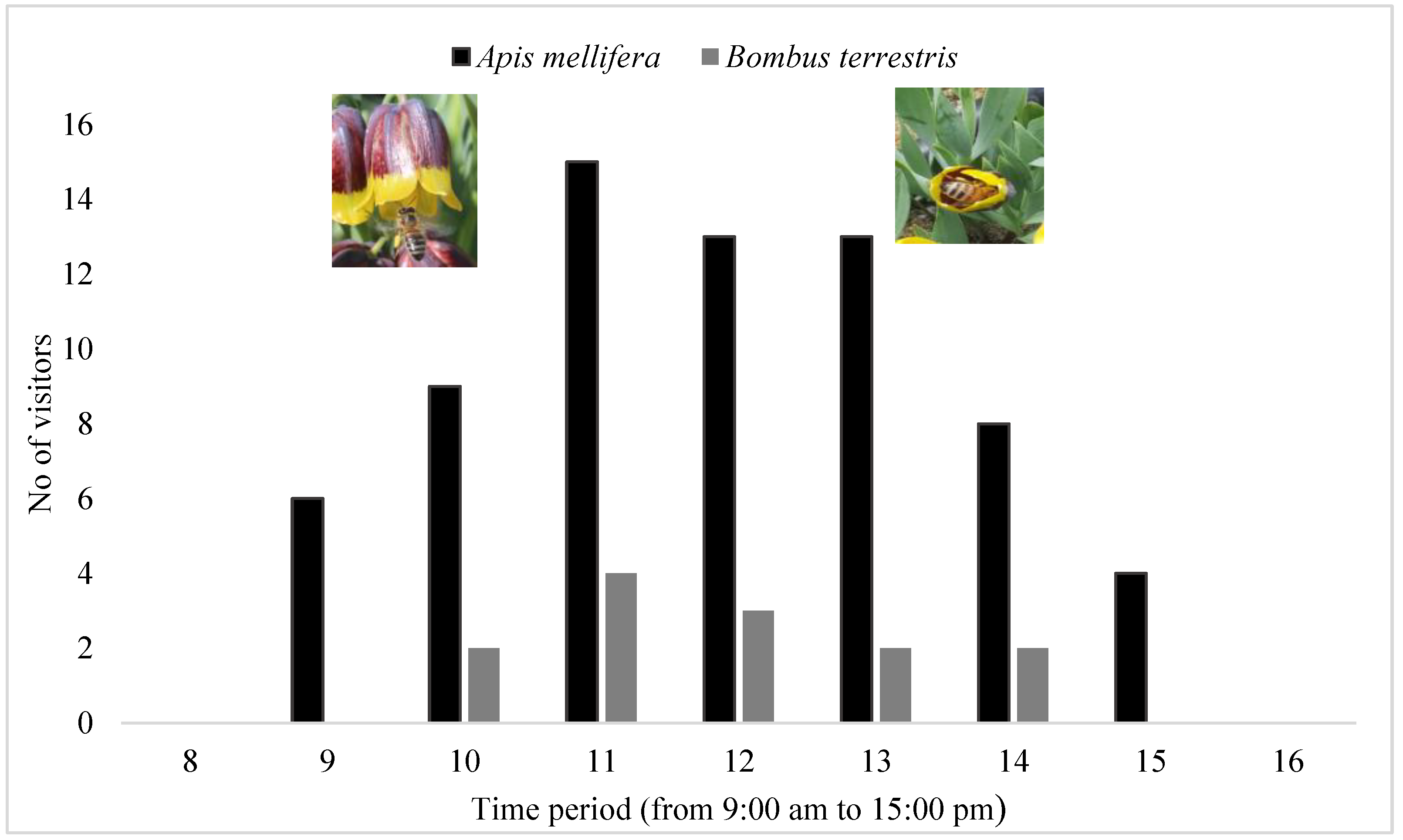 Diversity 15 00414 g004