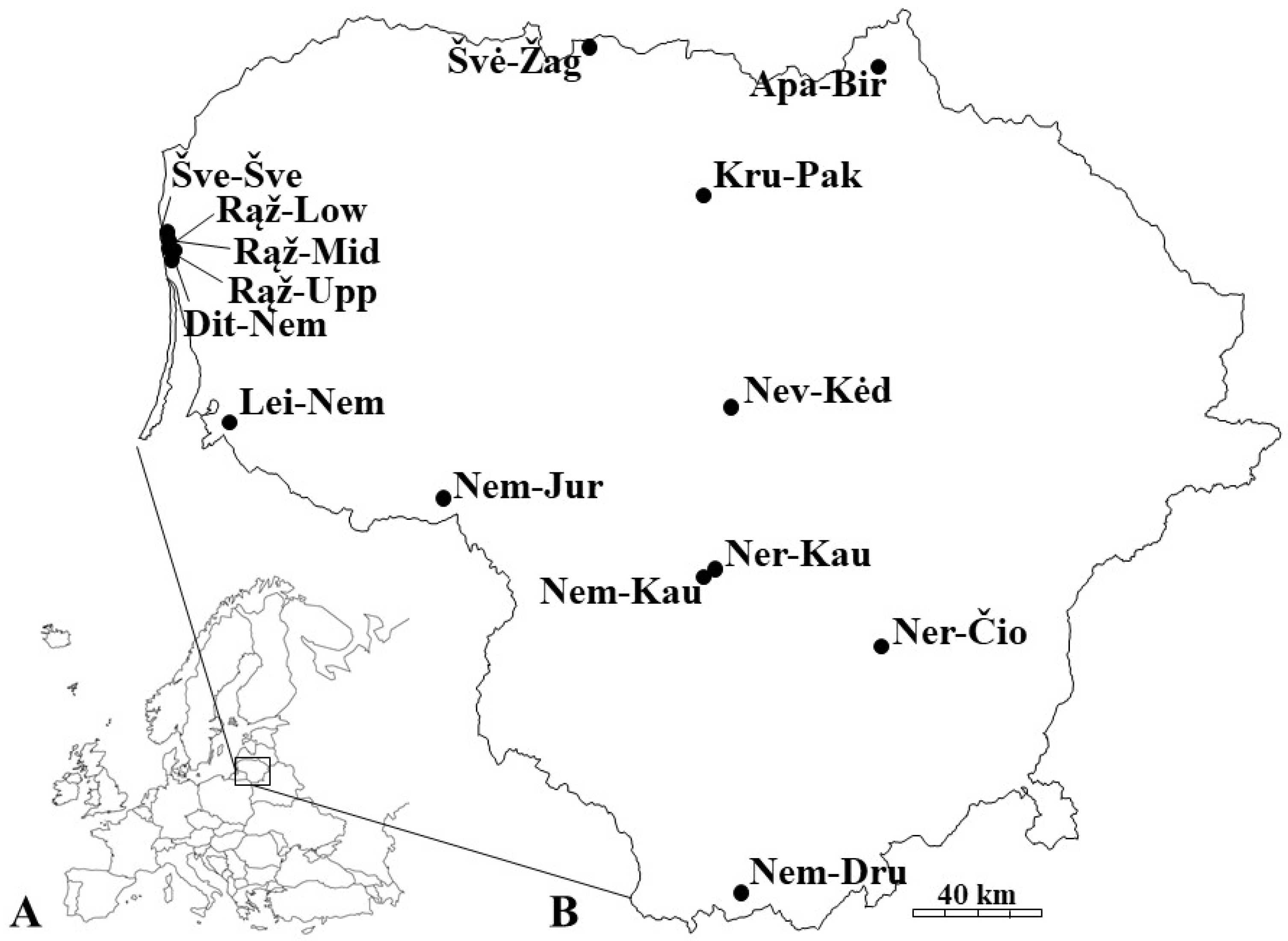 Diversity 15 00418 g001