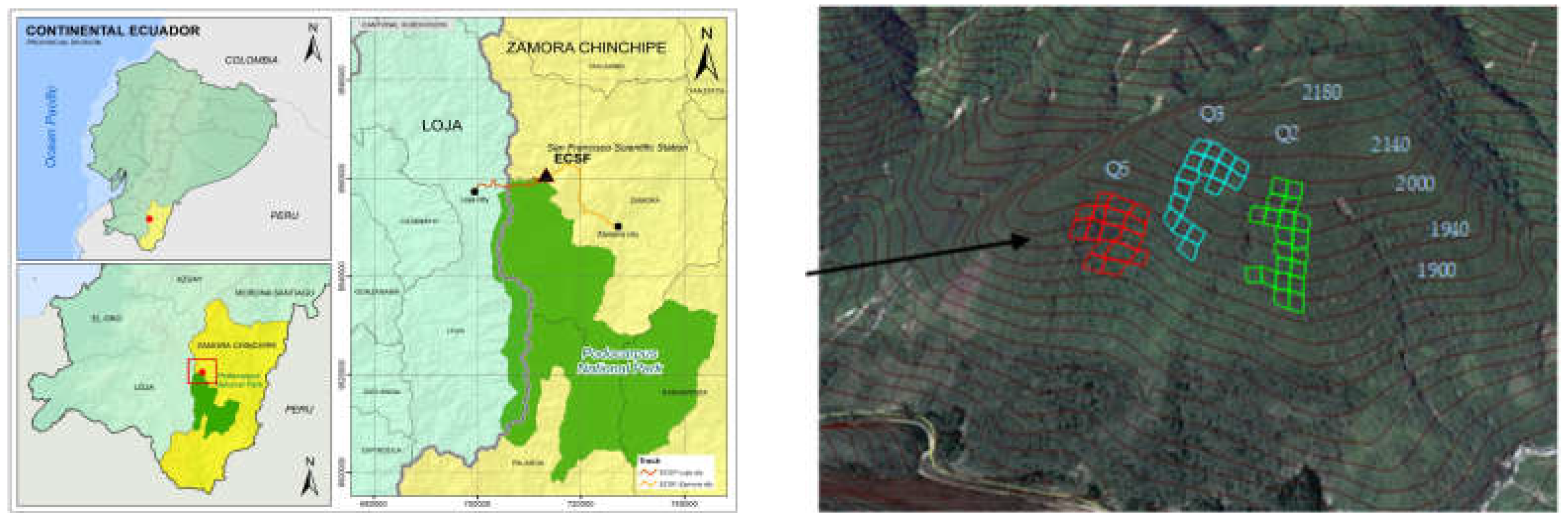 Diversity 15 00420 g001