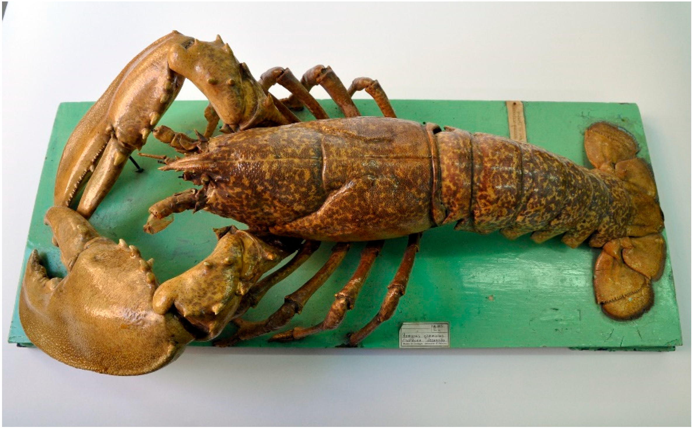 Diversity 15 00424 g001 Diversity 15 00424 g001