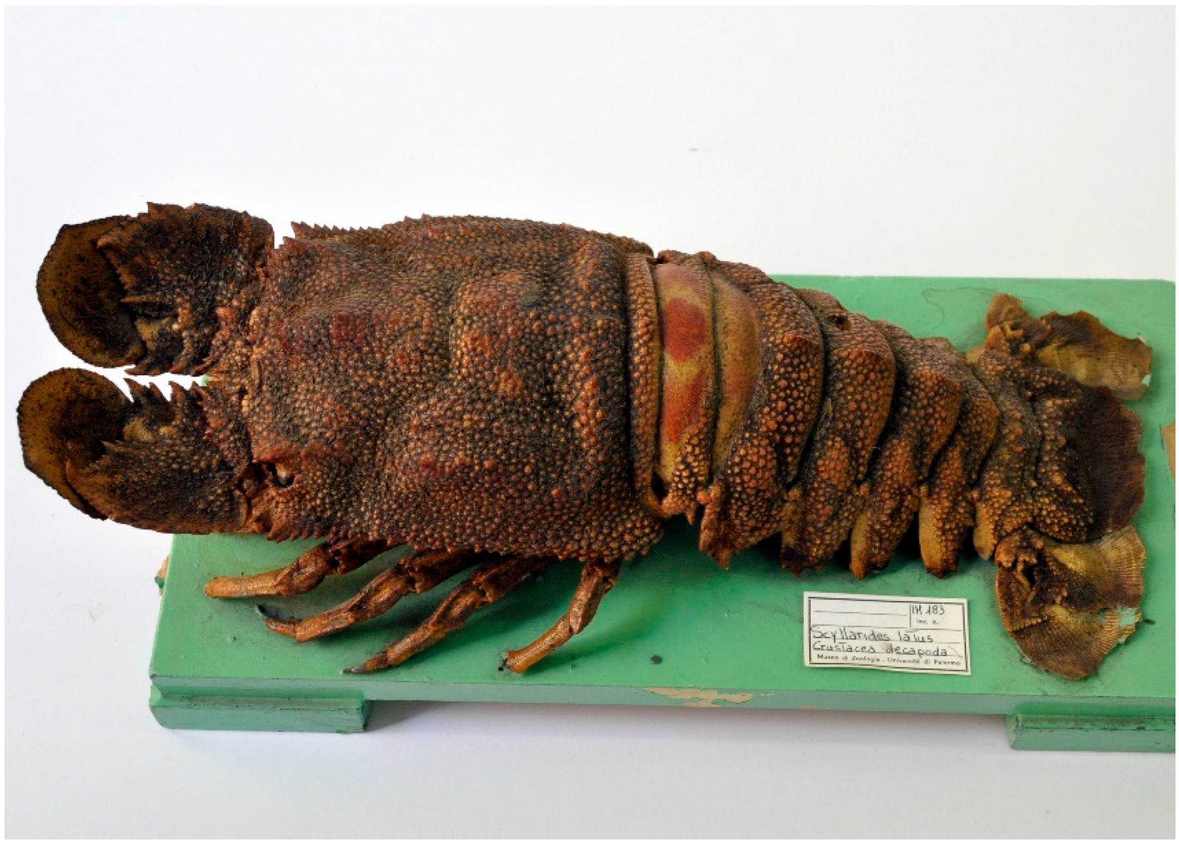 Diversity 15 00424 g002 Diversity 15 00424 g002