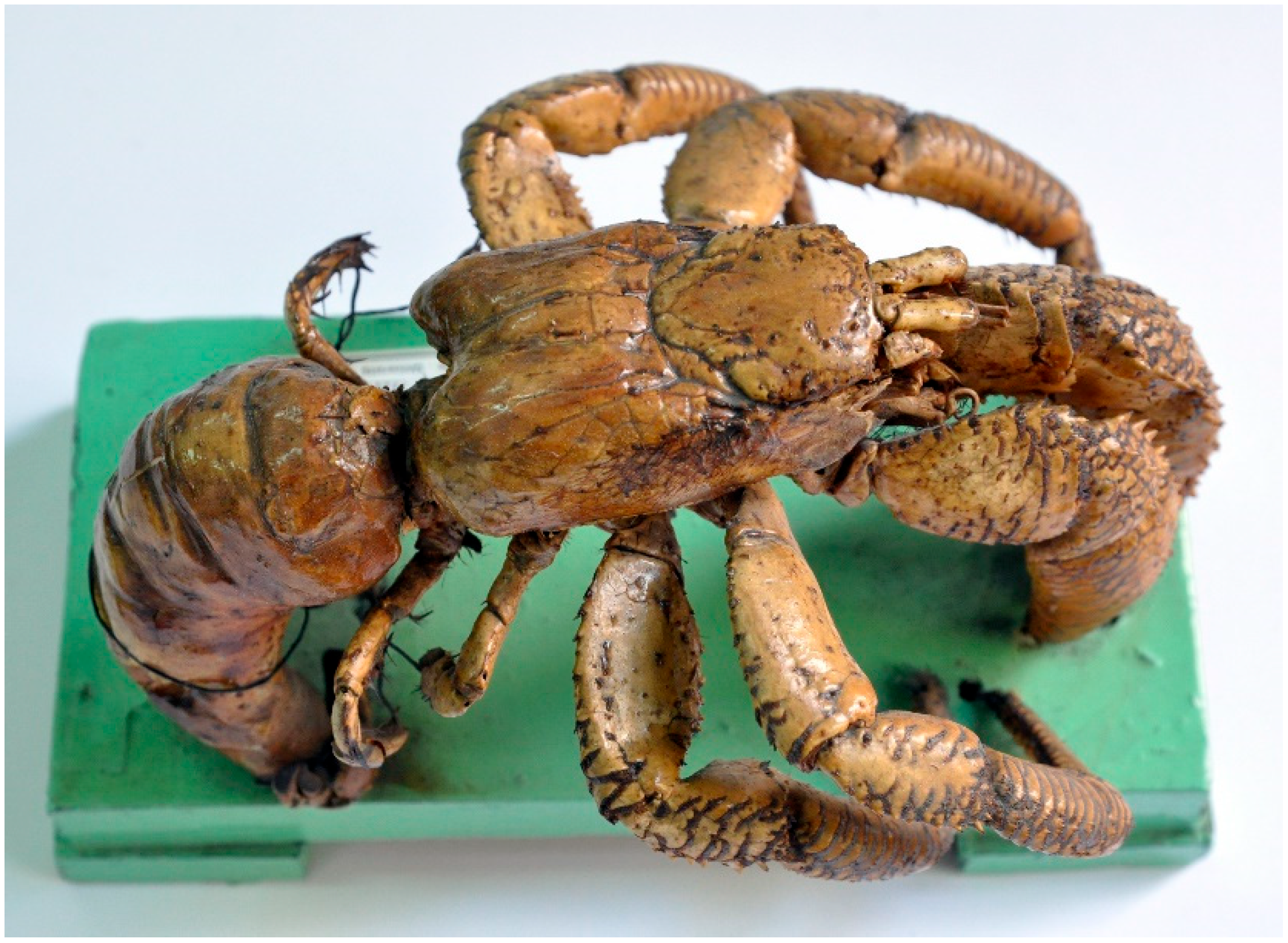 Diversity 15 00424 g003 Diversity 15 00424 g003