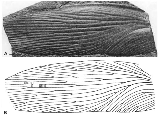 Diversity 15 00429 g009