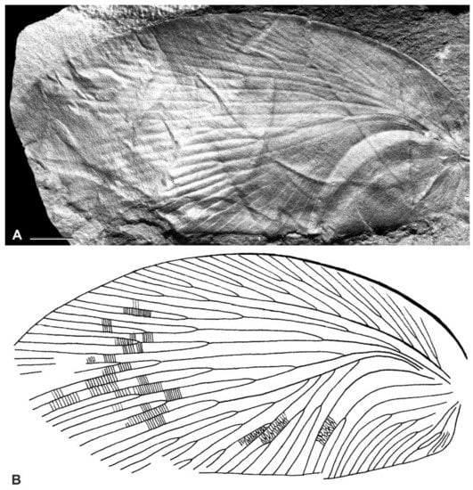 Diversity 15 00429 g014