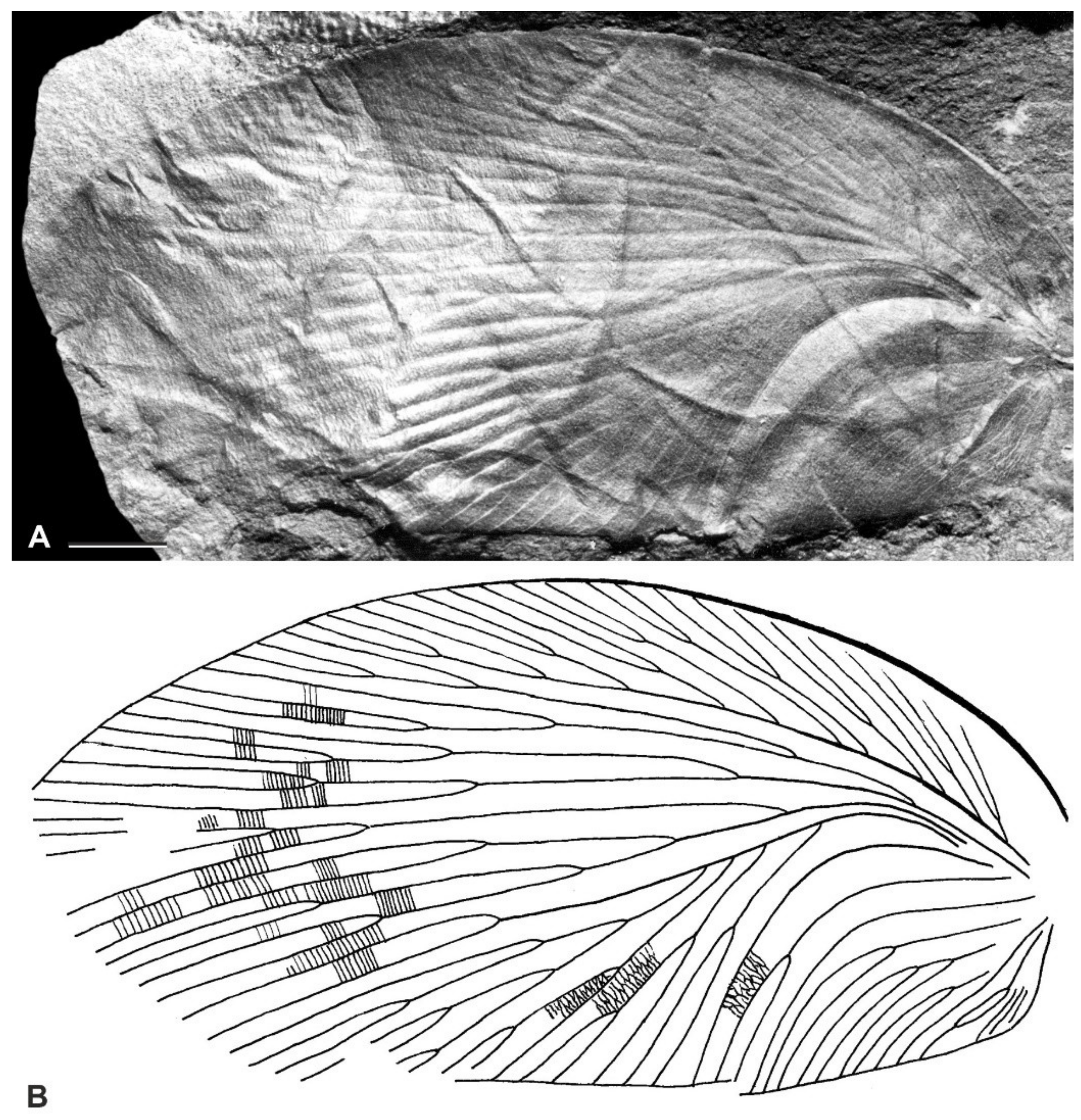 Diversity 15 00429 g014 Diversity 15 00429 g014