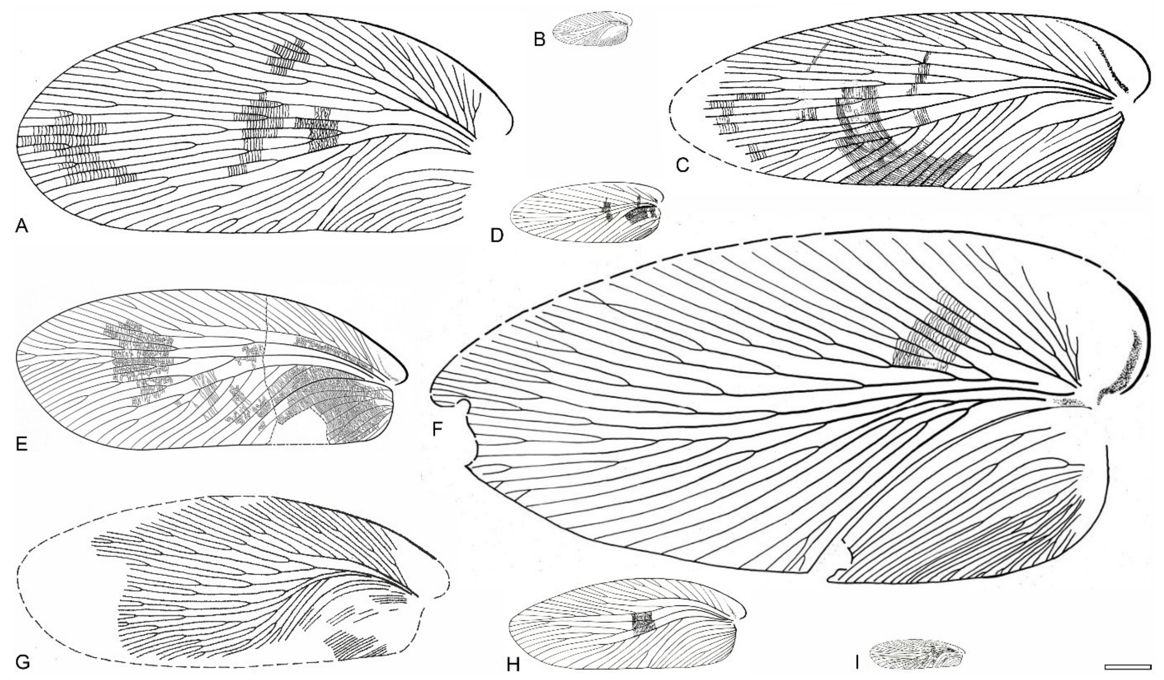 Diversity 15 00429 g020 Diversity 15 00429 g020