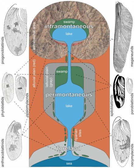 Diversity 15 00429 g021