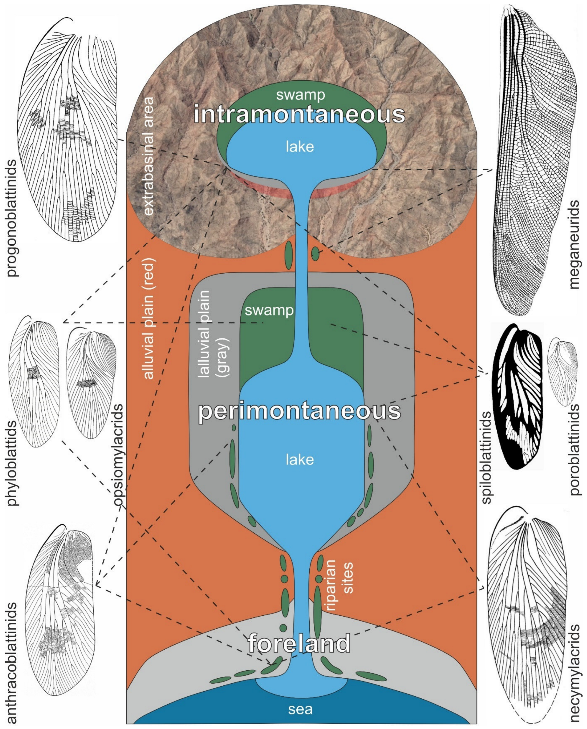 Diversity 15 00429 g021 Diversity 15 00429 g021