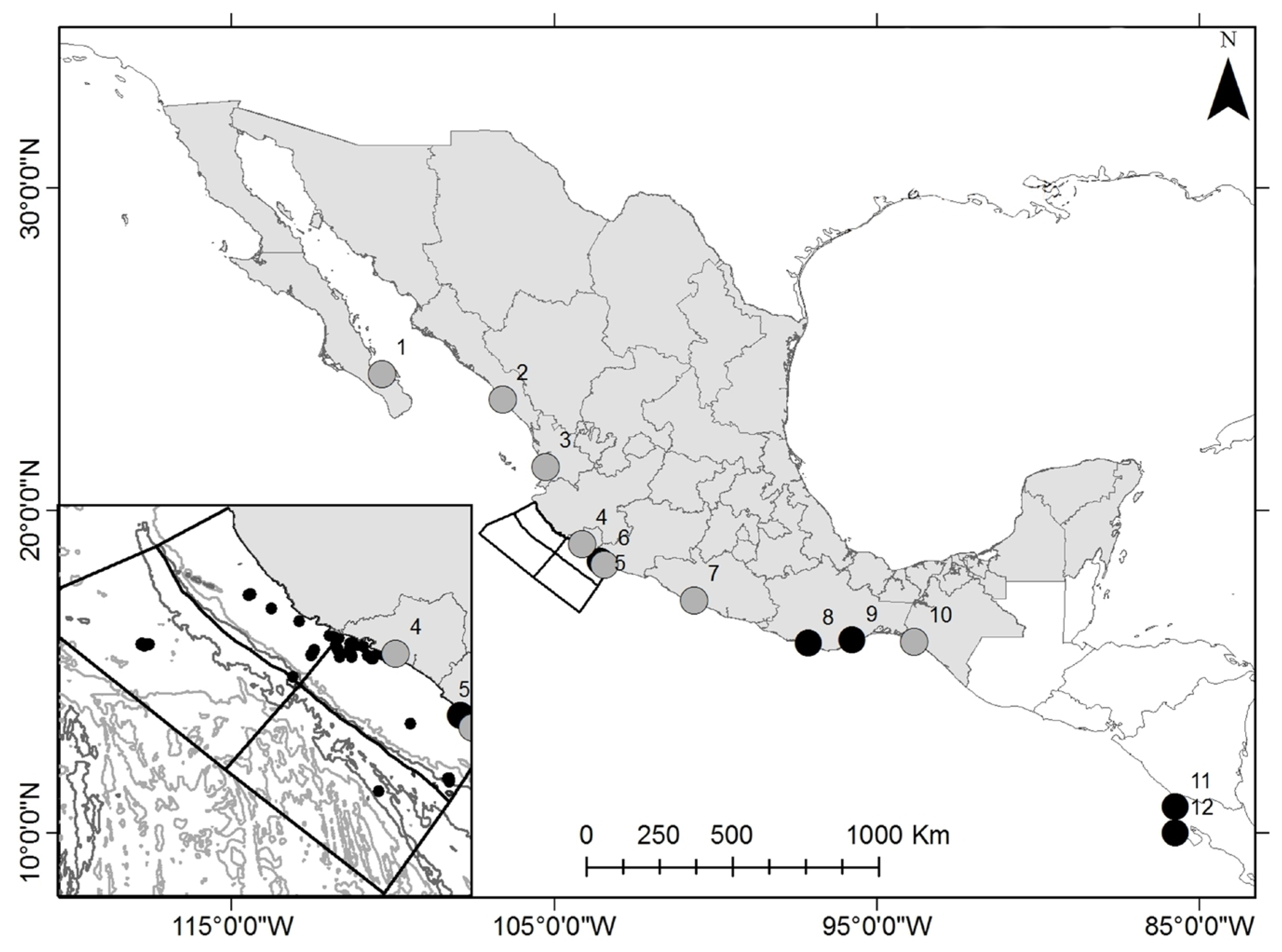 Diversity 15 00430 g001 Diversity 15 00430 g001