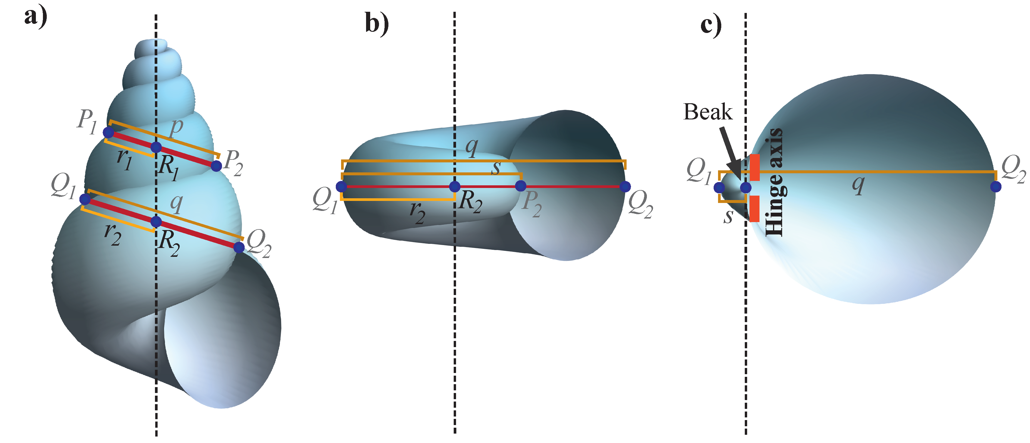 Diversity 15 00431 g003