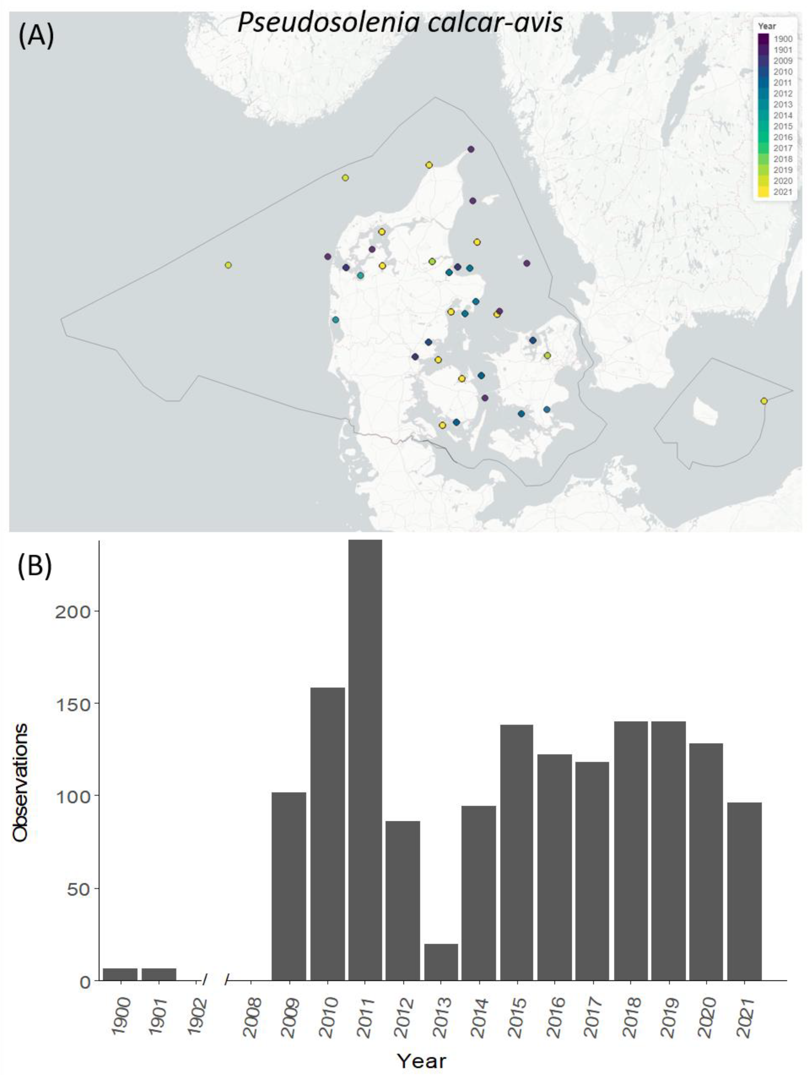 Diversity 15 00434 g007