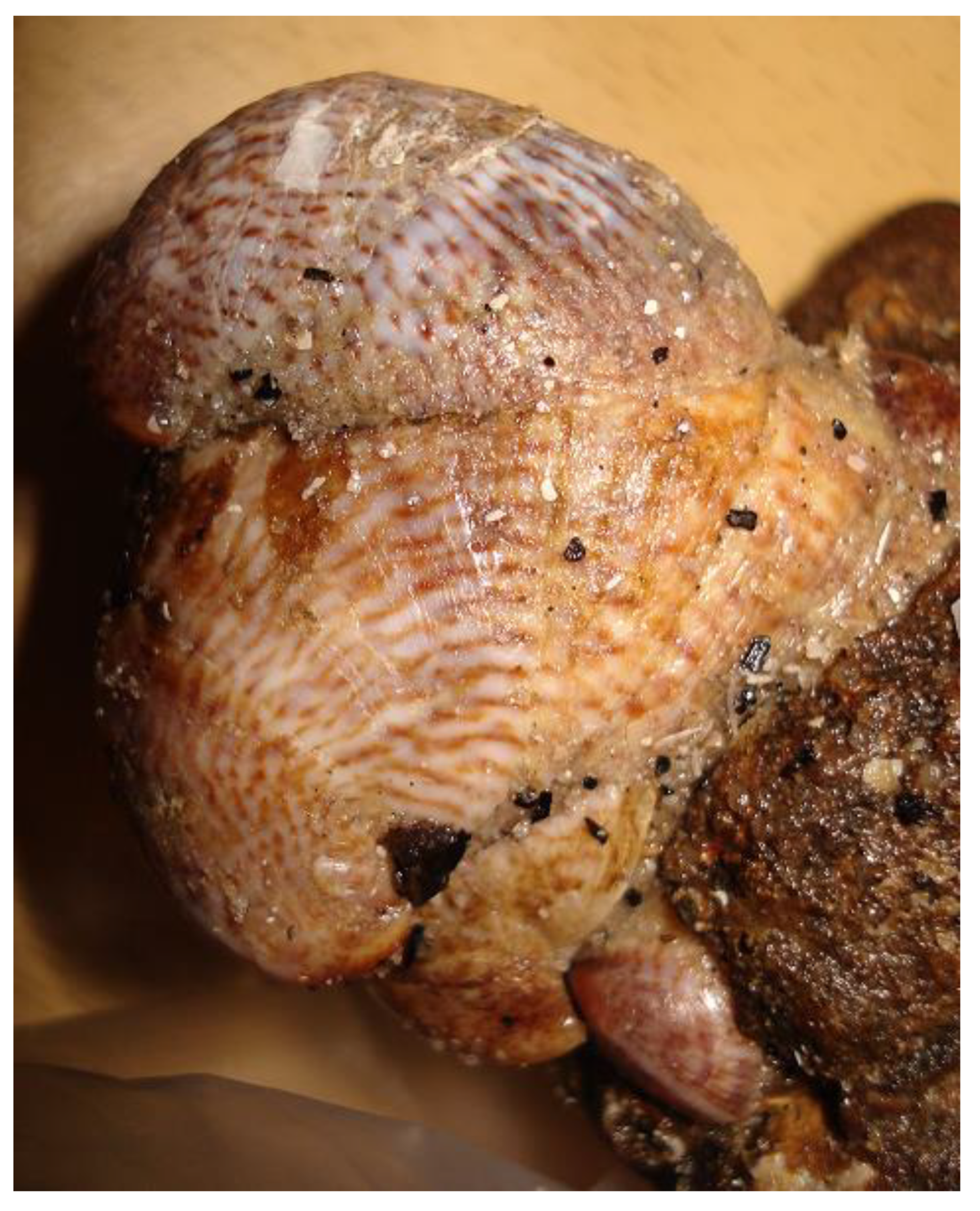 Diversity 15 00434 g012