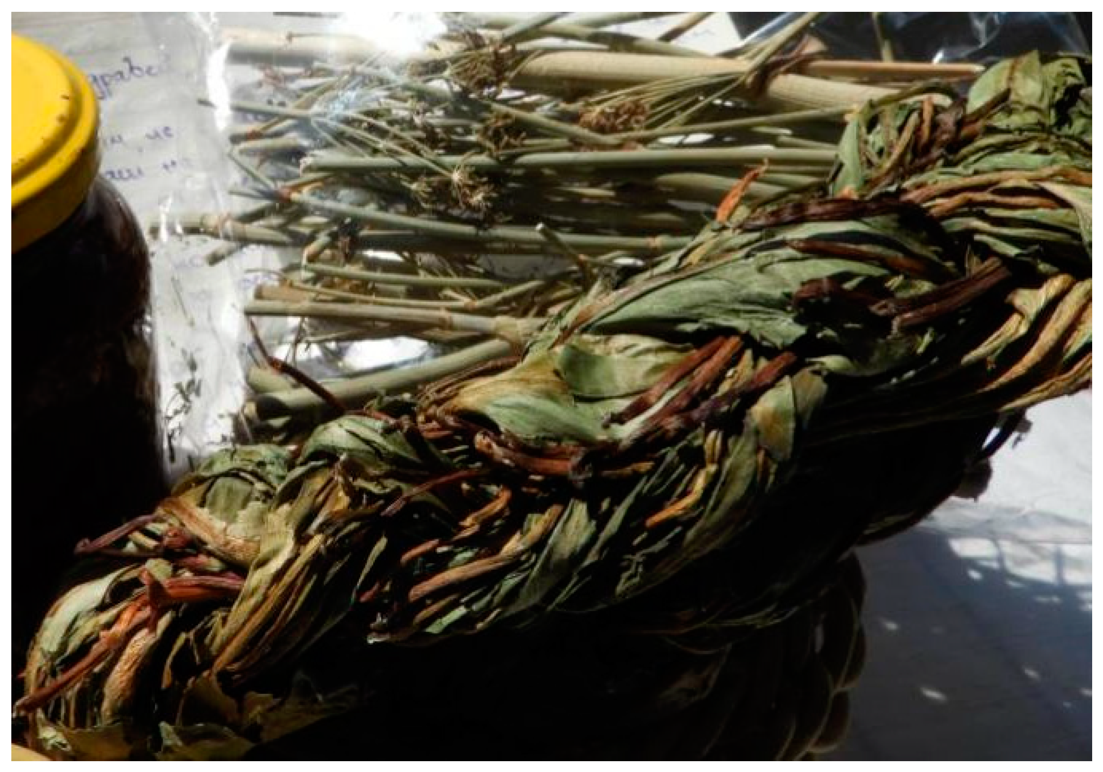 Diversity 15 00435 g004 Diversity 15 00435 g004