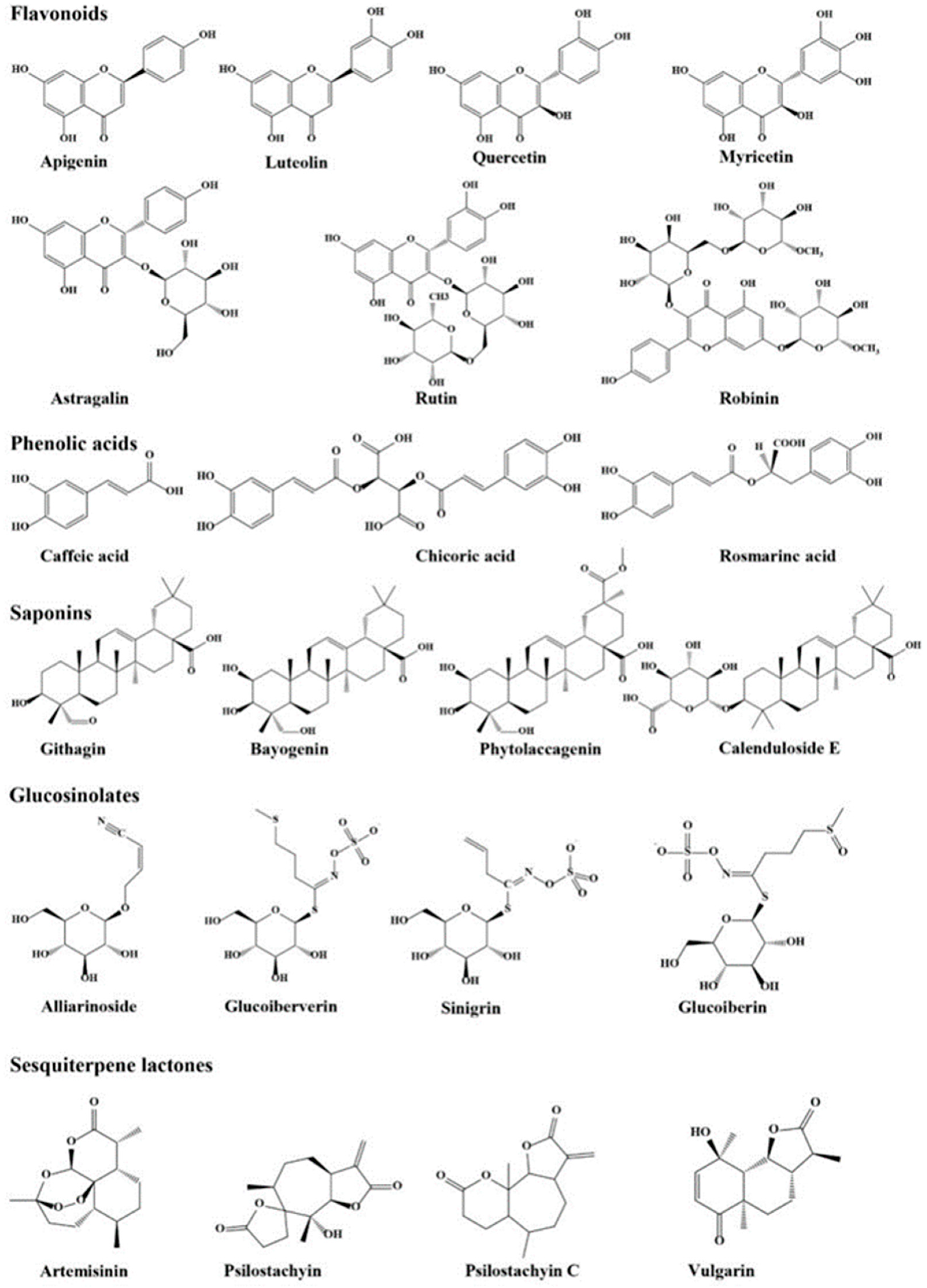 Diversity 15 00435 g005 Diversity 15 00435 g005