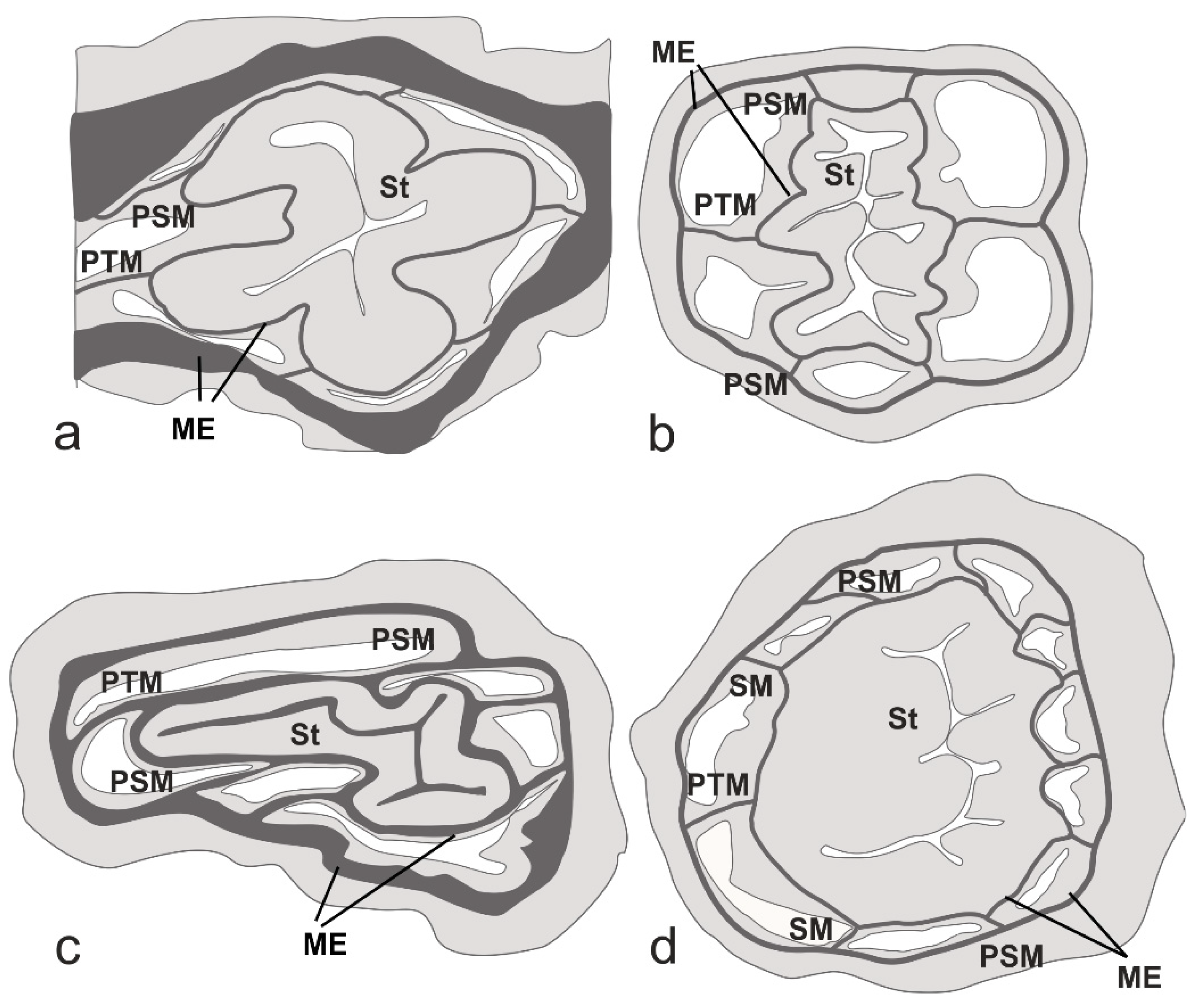 Diversity 15 00436 g006