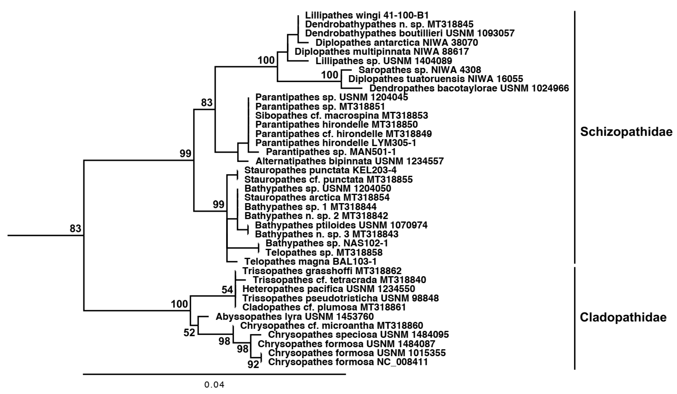 Diversity 15 00436 g007