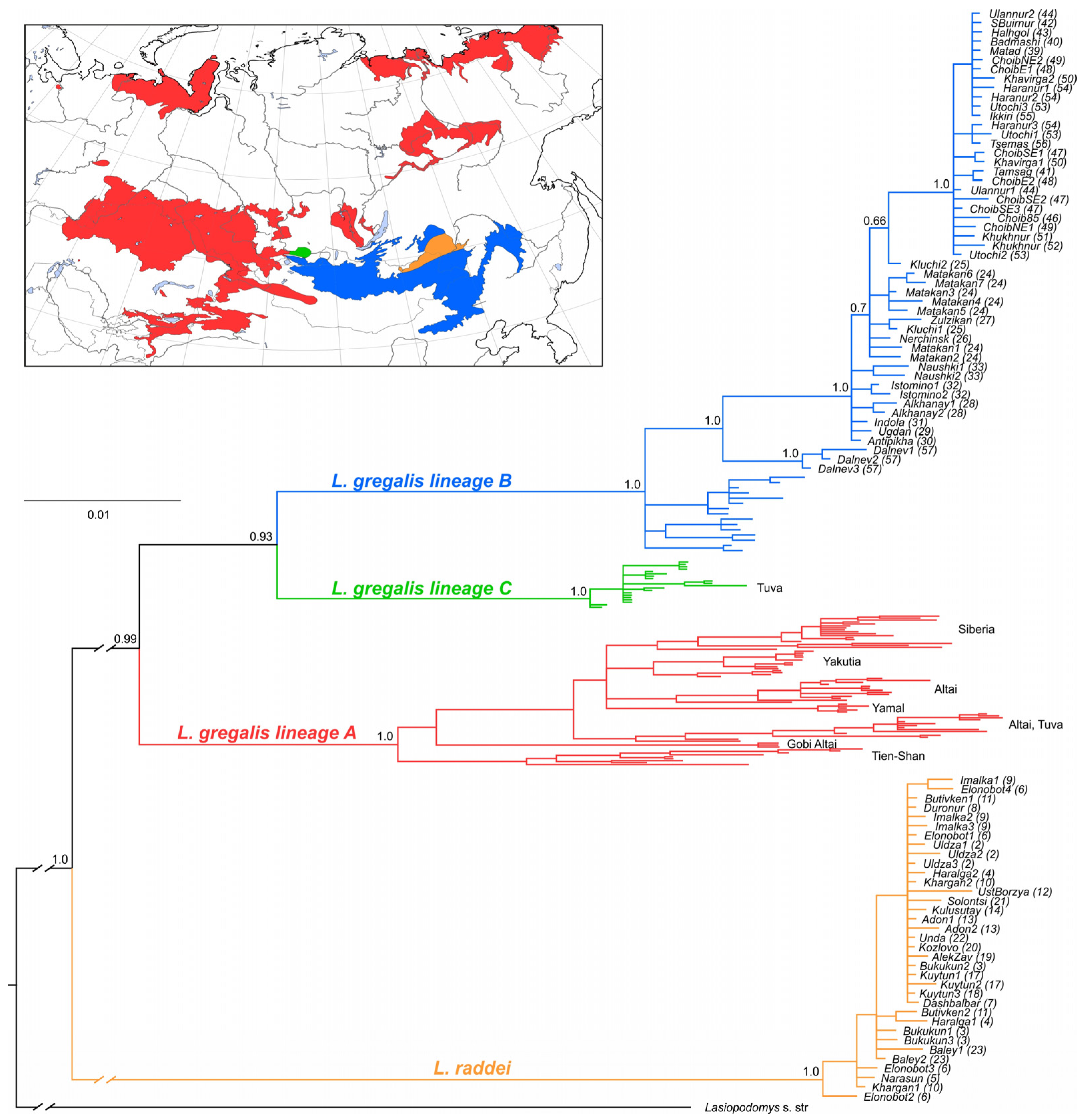 Diversity 15 00439 g002