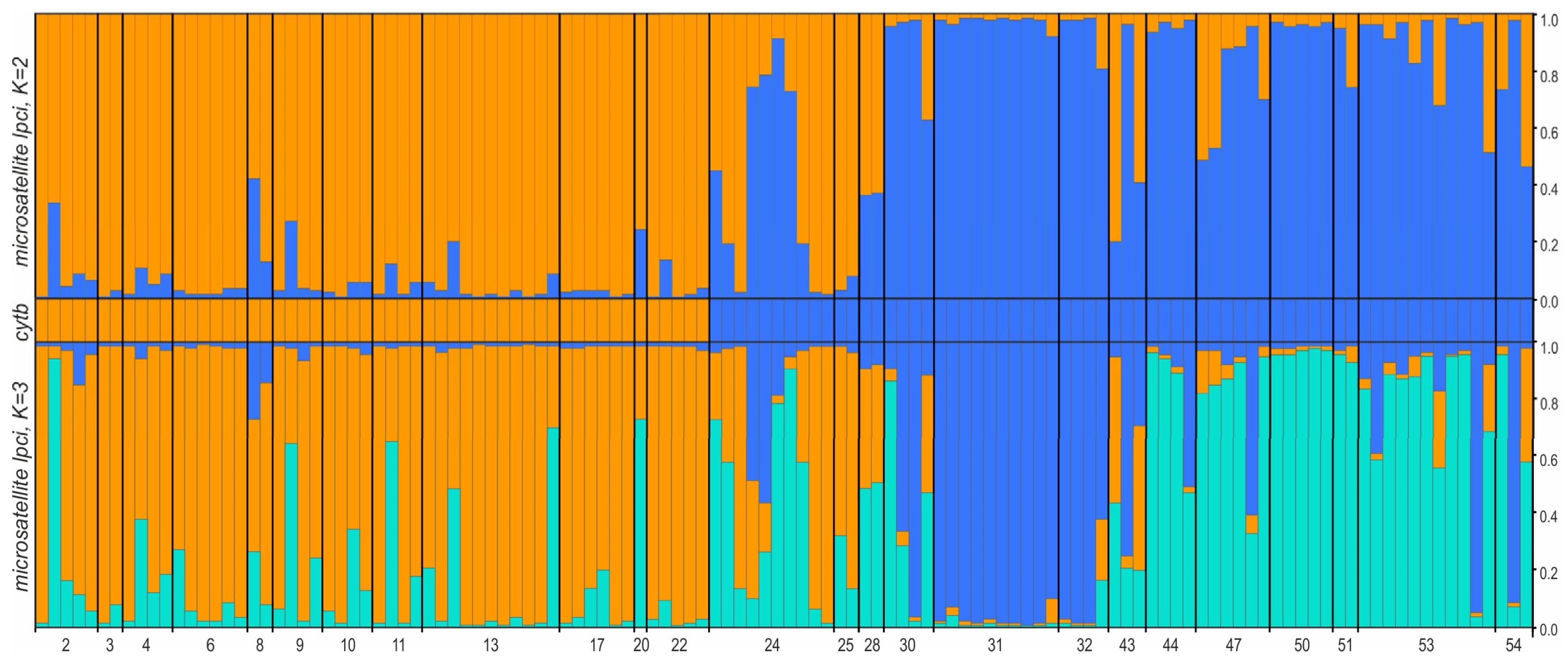 Diversity 15 00439 g004
