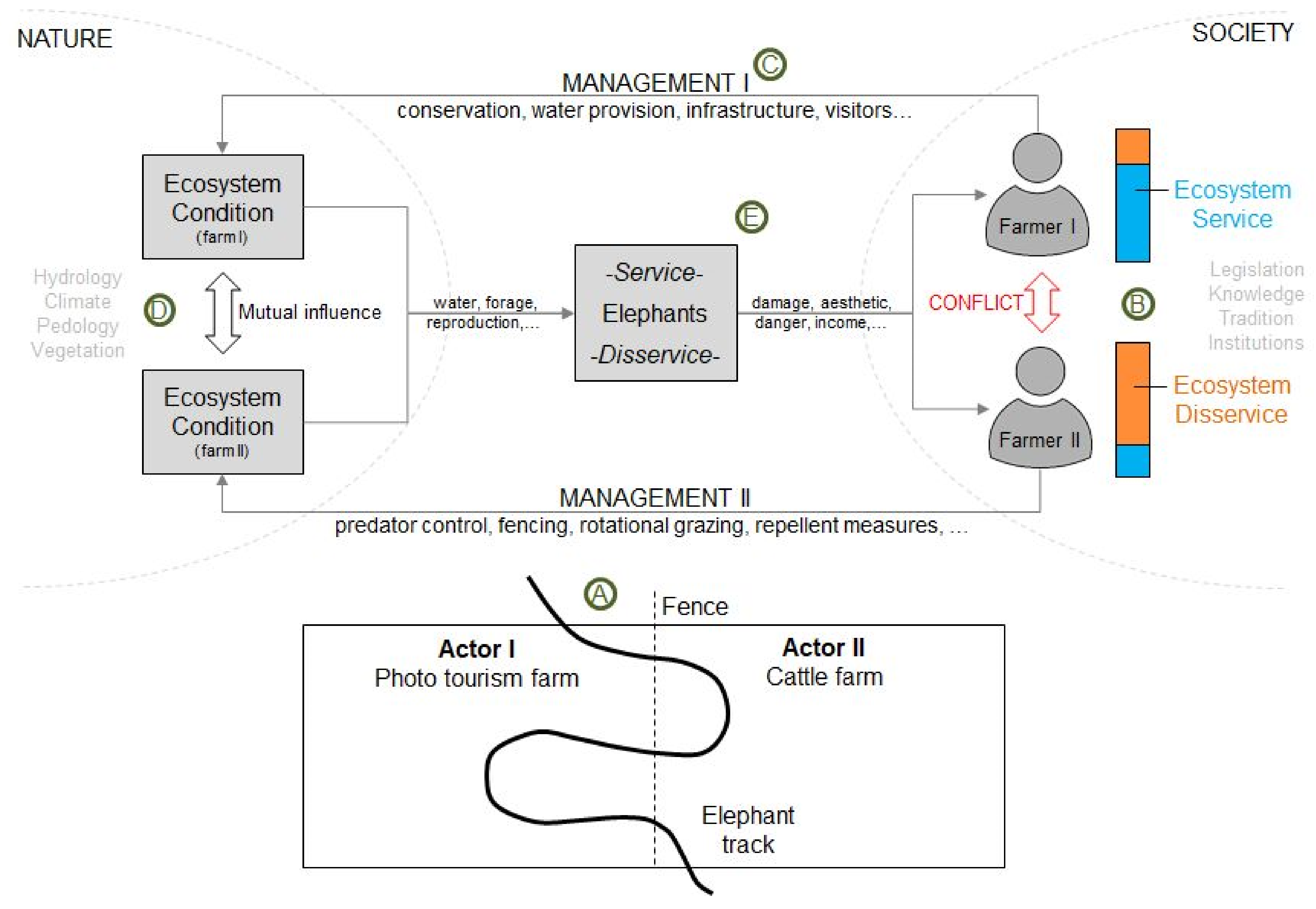 Diversity 15 00440 g002