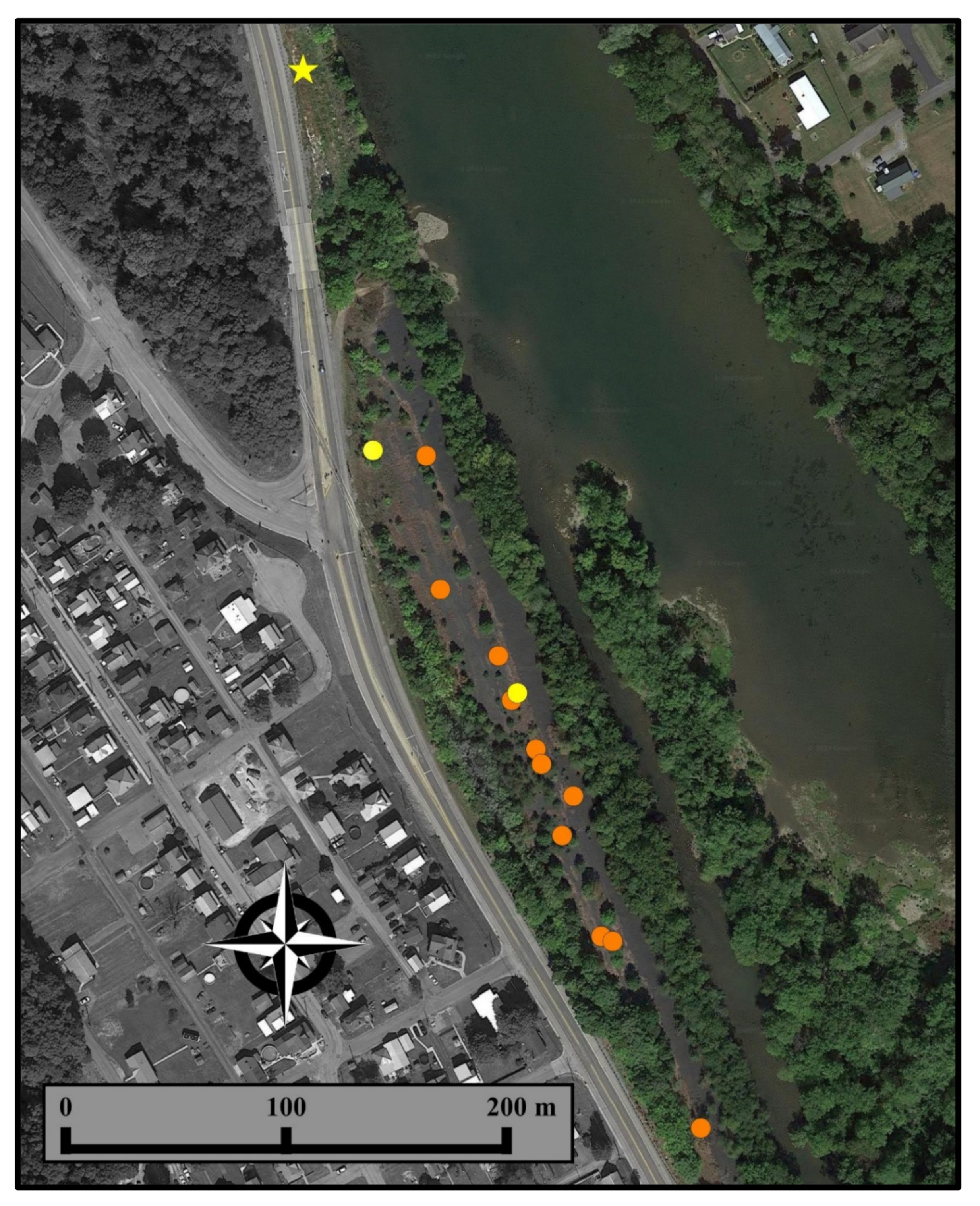 Diversity 15 00444 g004