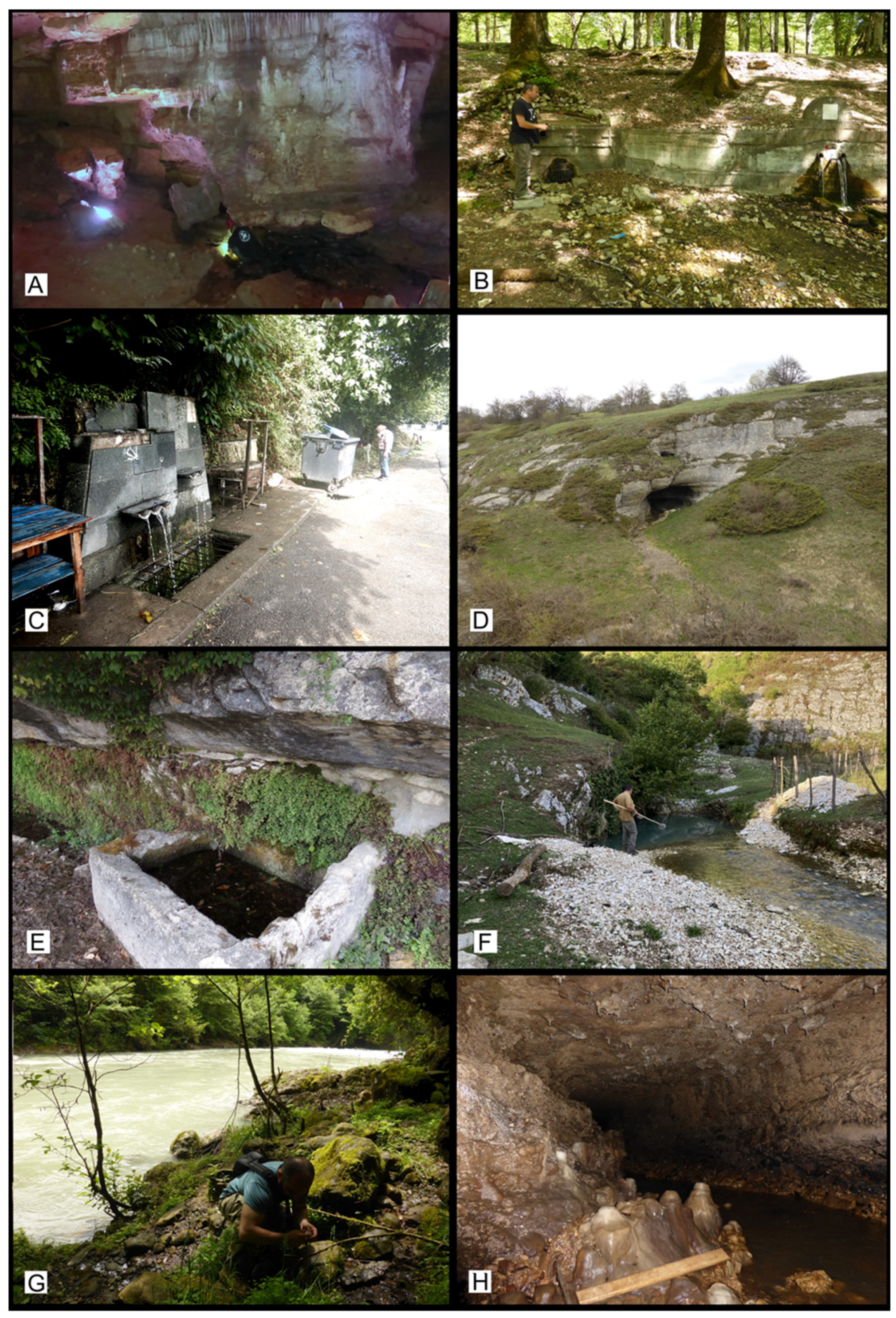 Diversity 15 00450 g002 Diversity 15 00450 g002